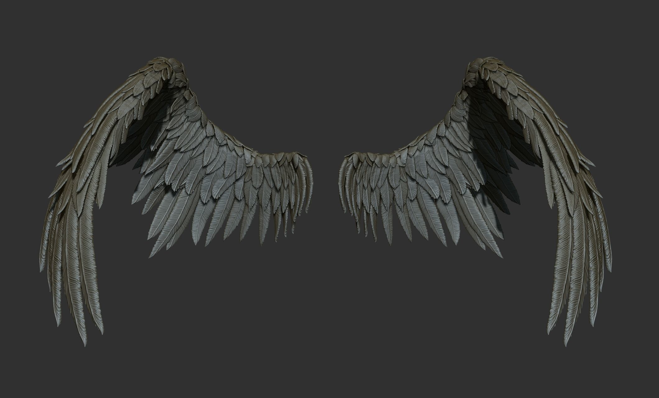 11 Wings 3D model_26