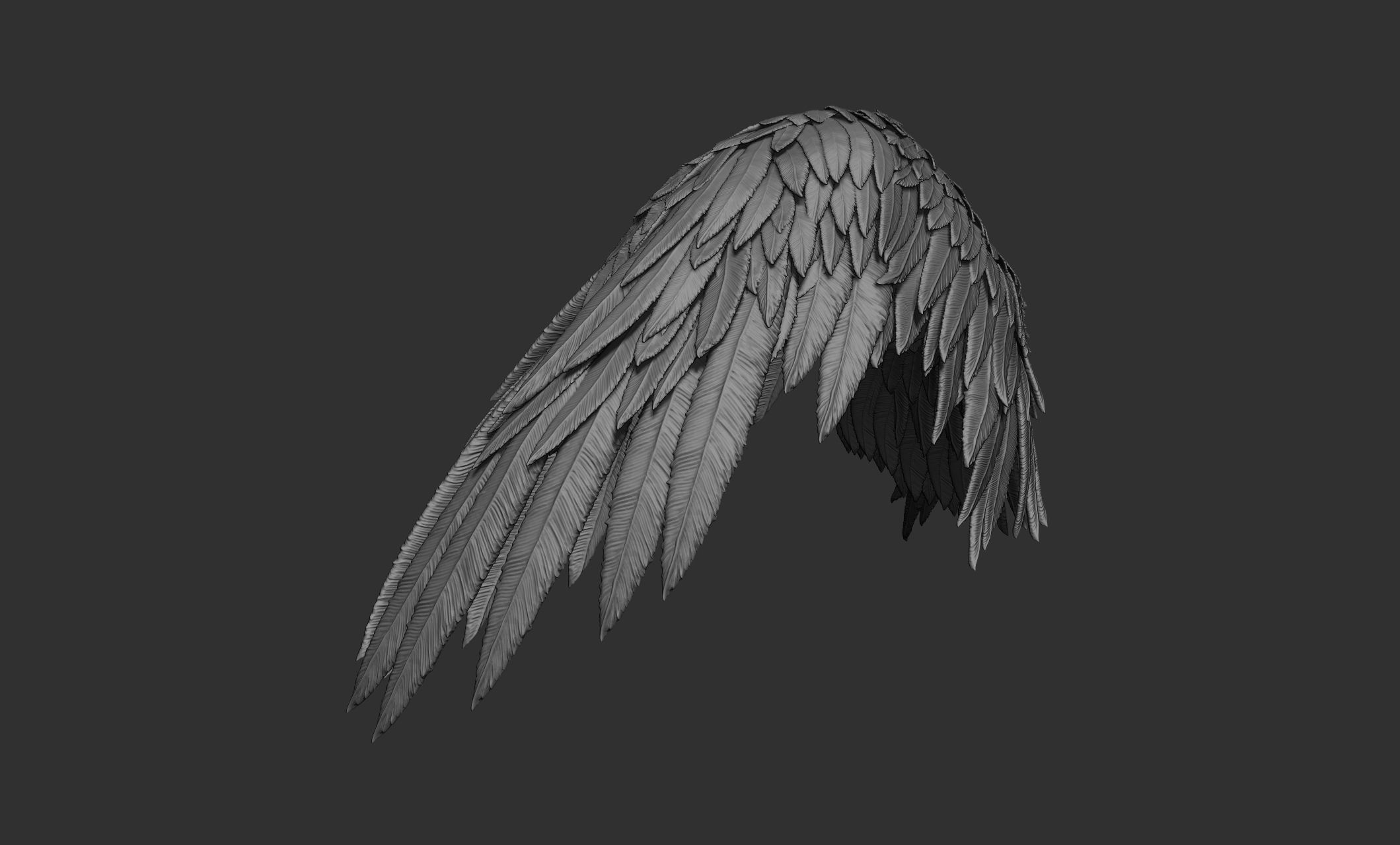 11 Wings 3D model_28