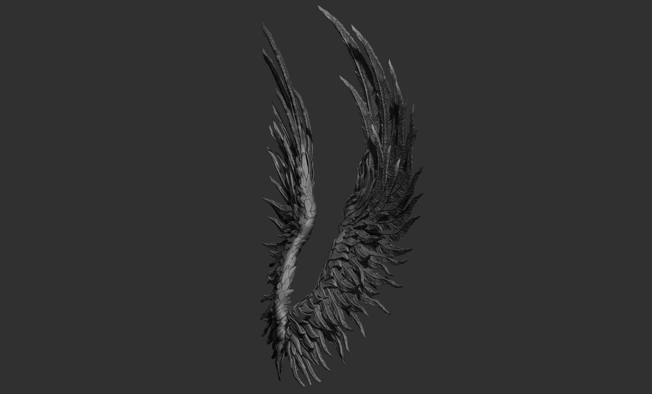 11 Wings 3D model_61