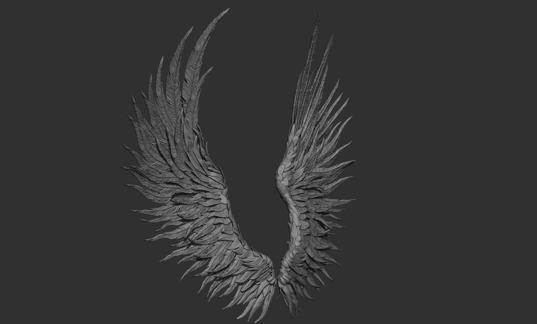 11 Wings 3D model_65