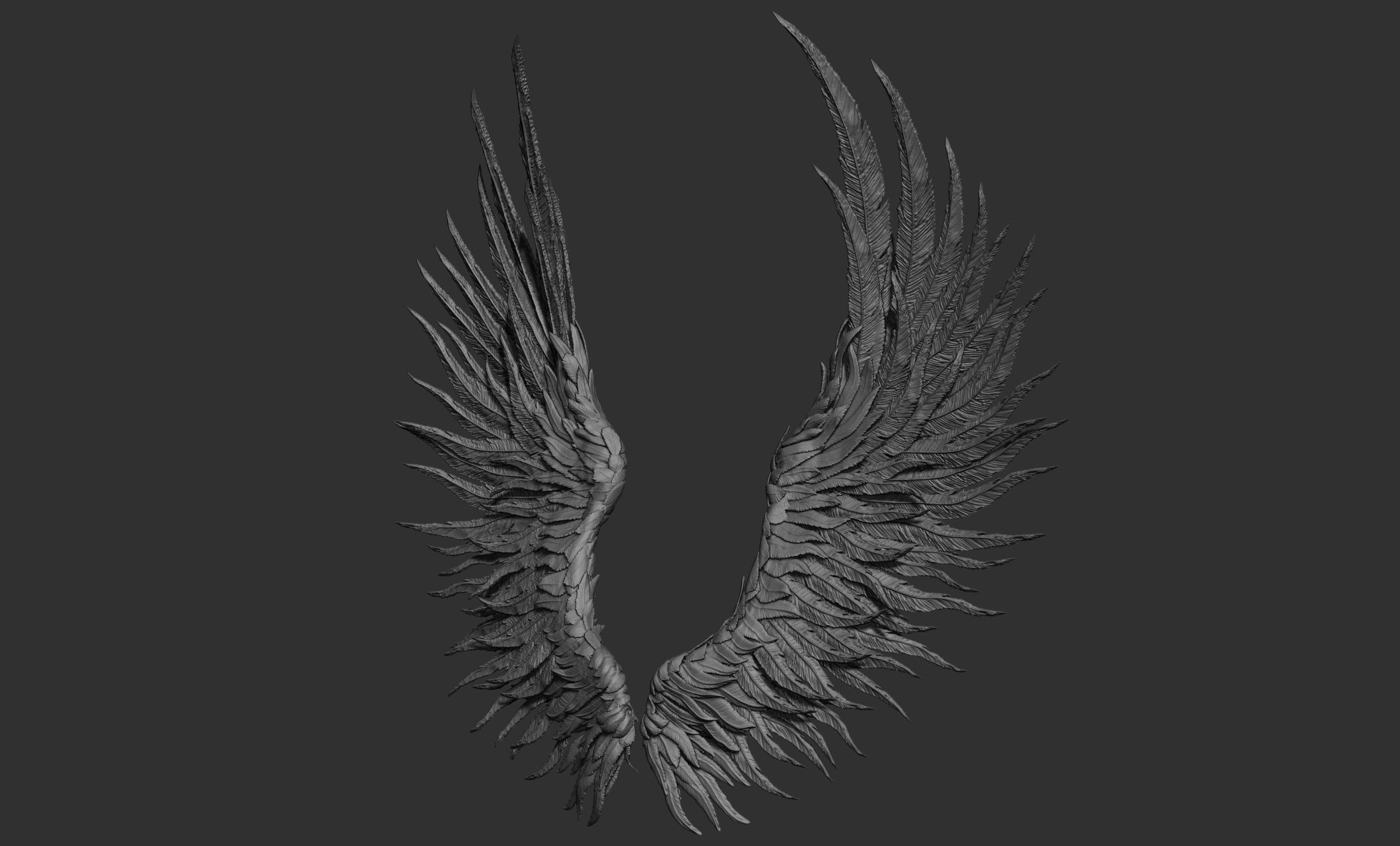 11 Wings 3D model_60