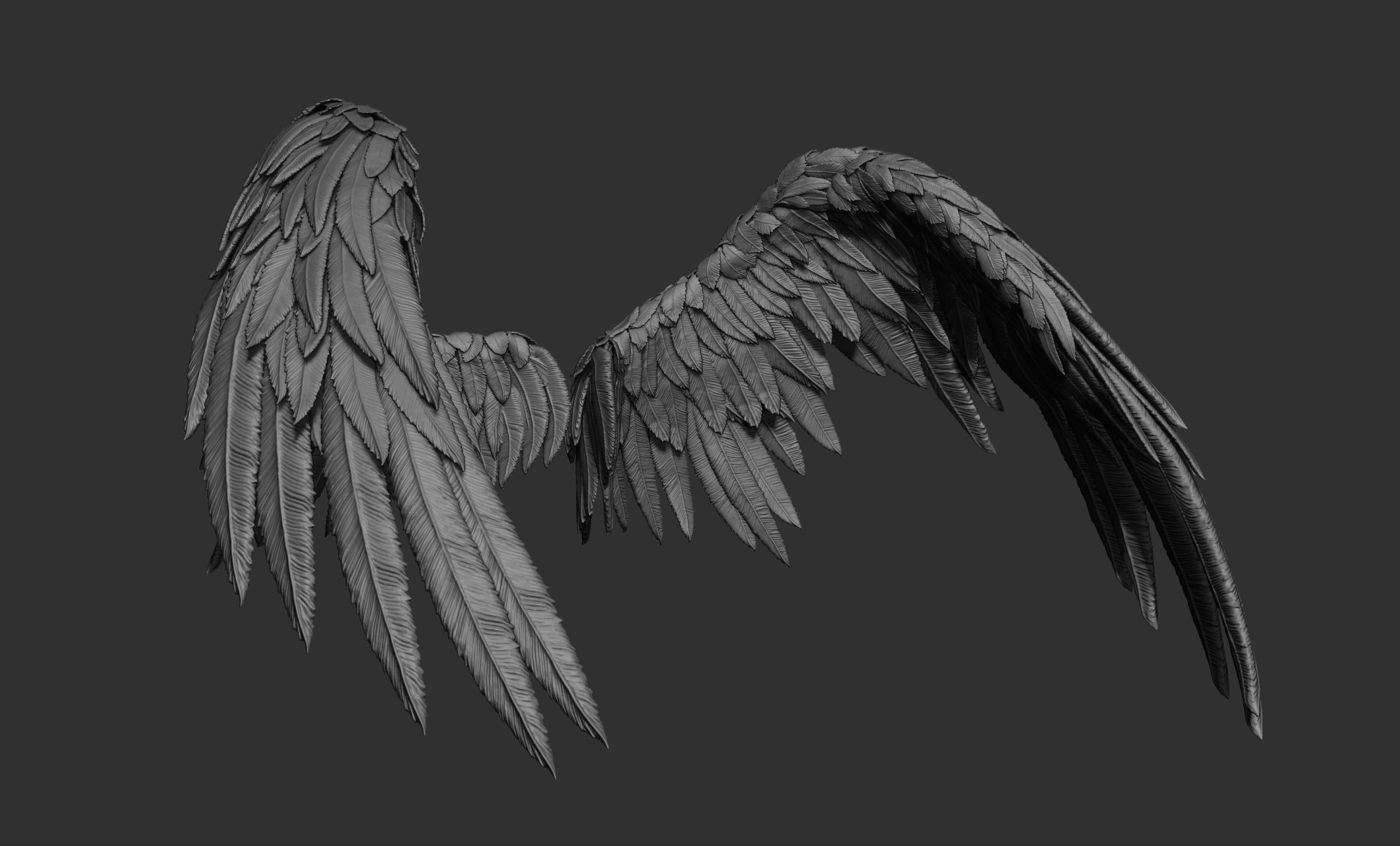 11 Wings 3D model_32