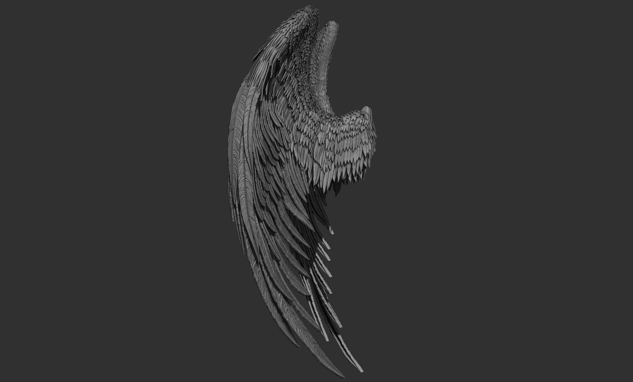 11 Wings 3D model_73