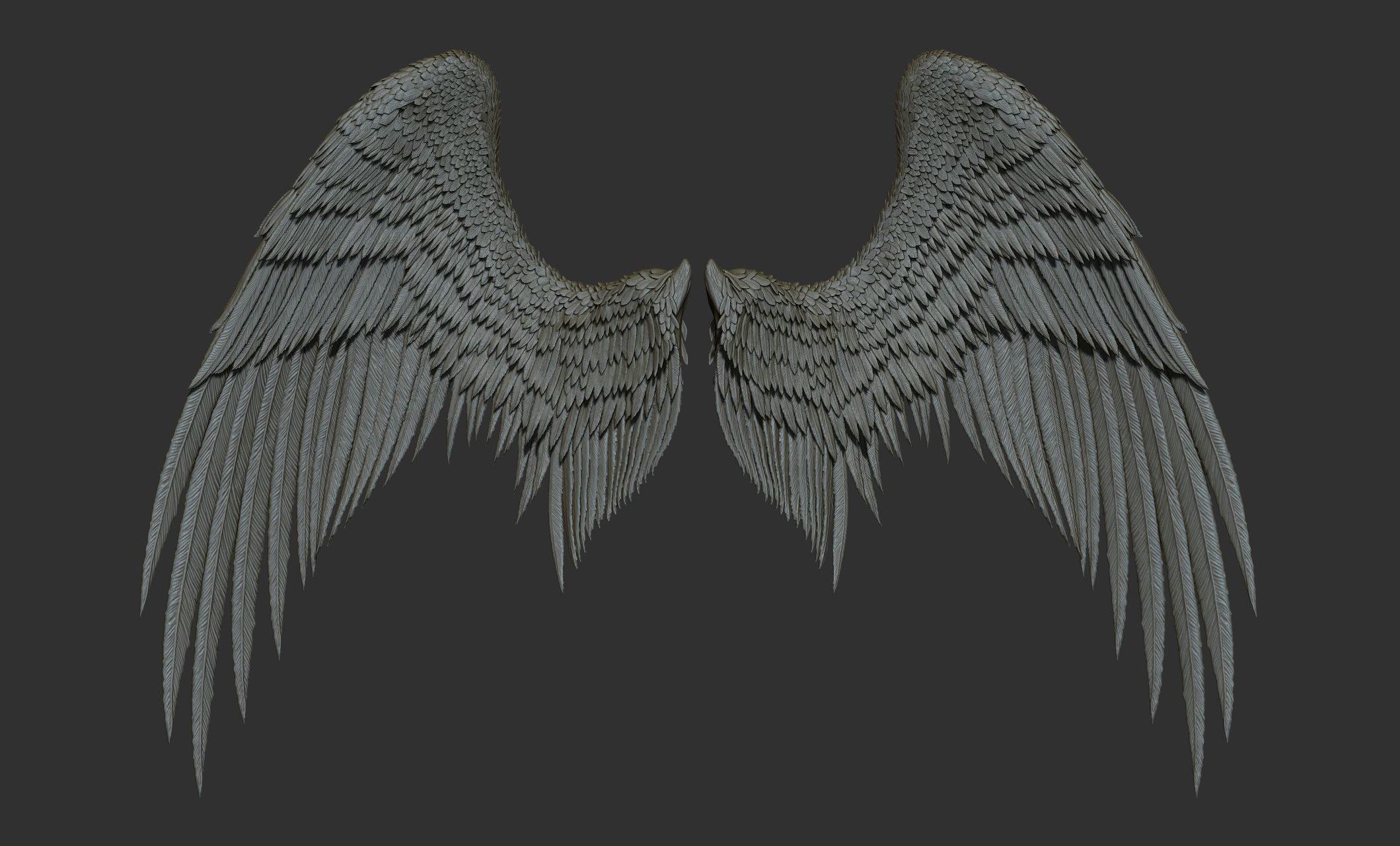 11 Wings 3D model_34