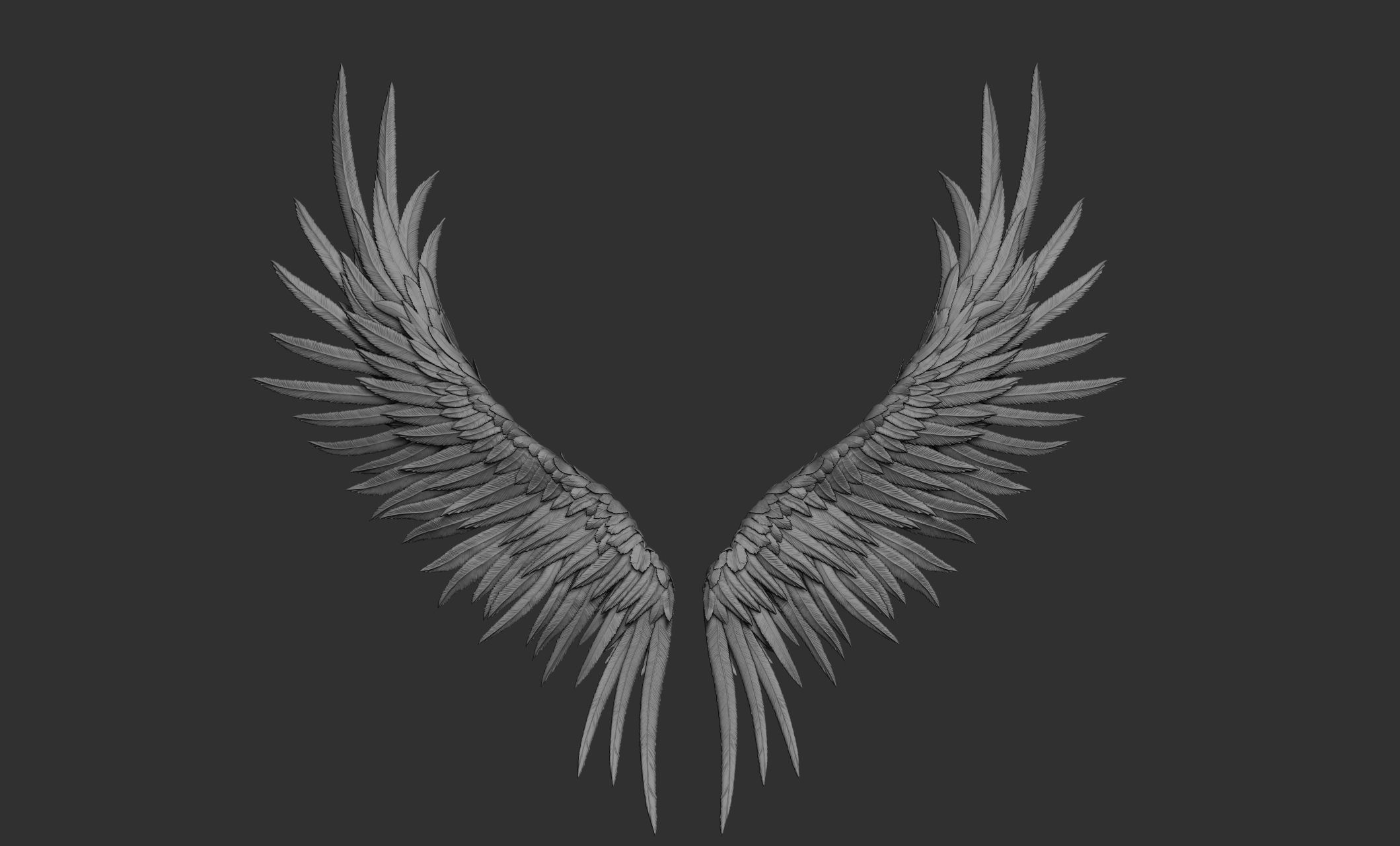 11 Wings 3D model_80