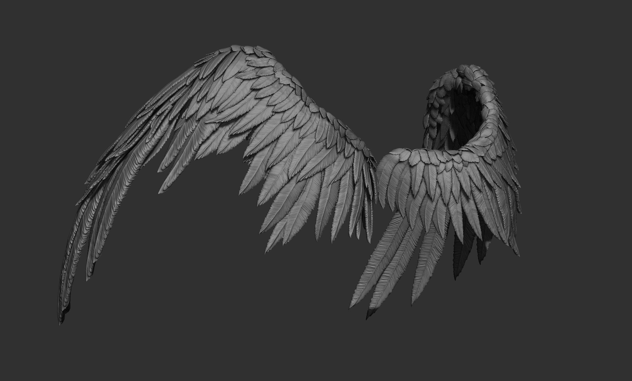 11 Wings 3D model_29
