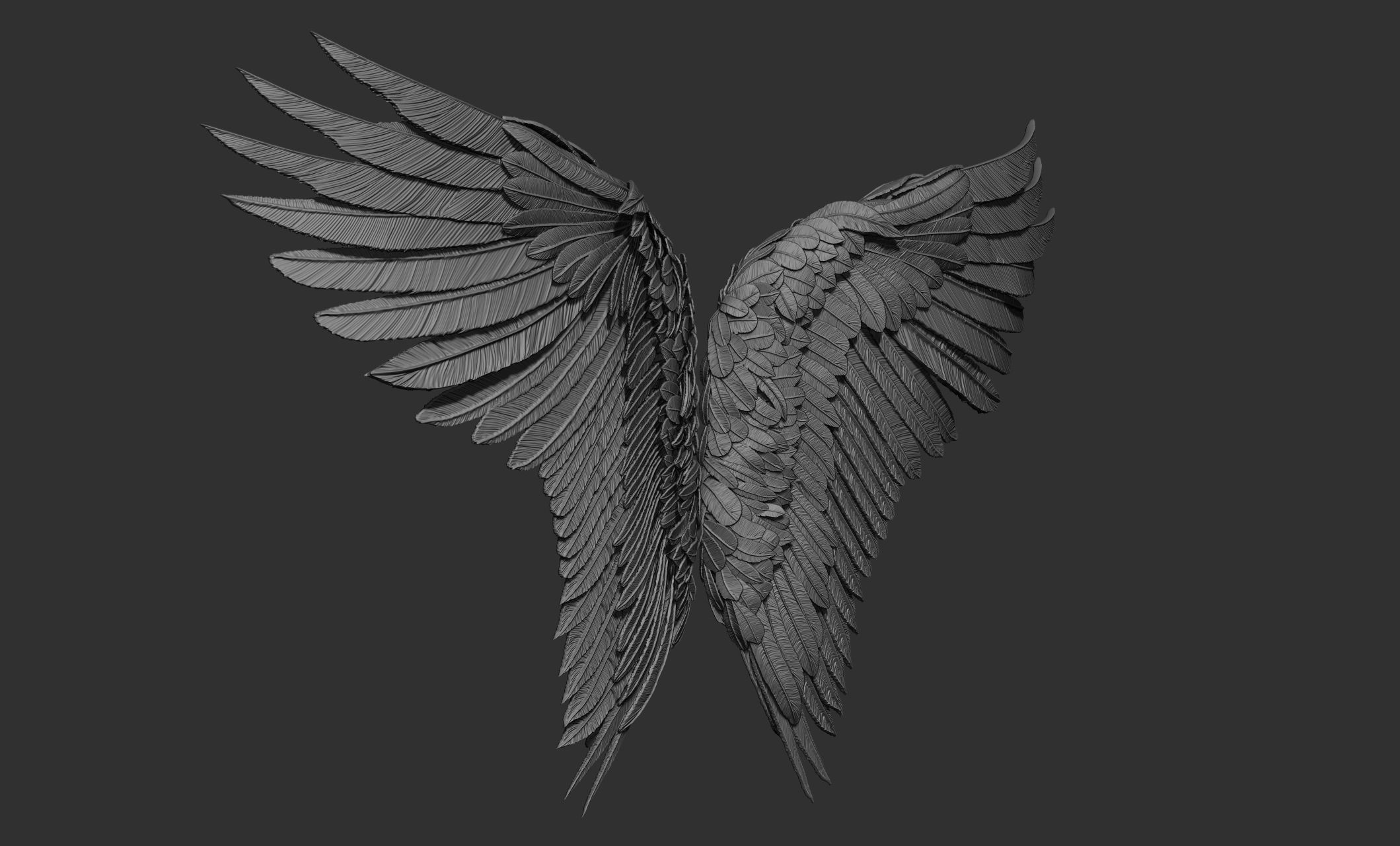 11 Wings 3D model_54
