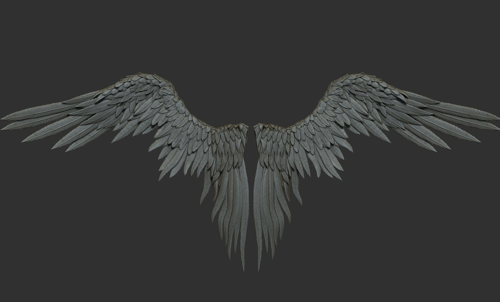 11 Wings 3D model_11