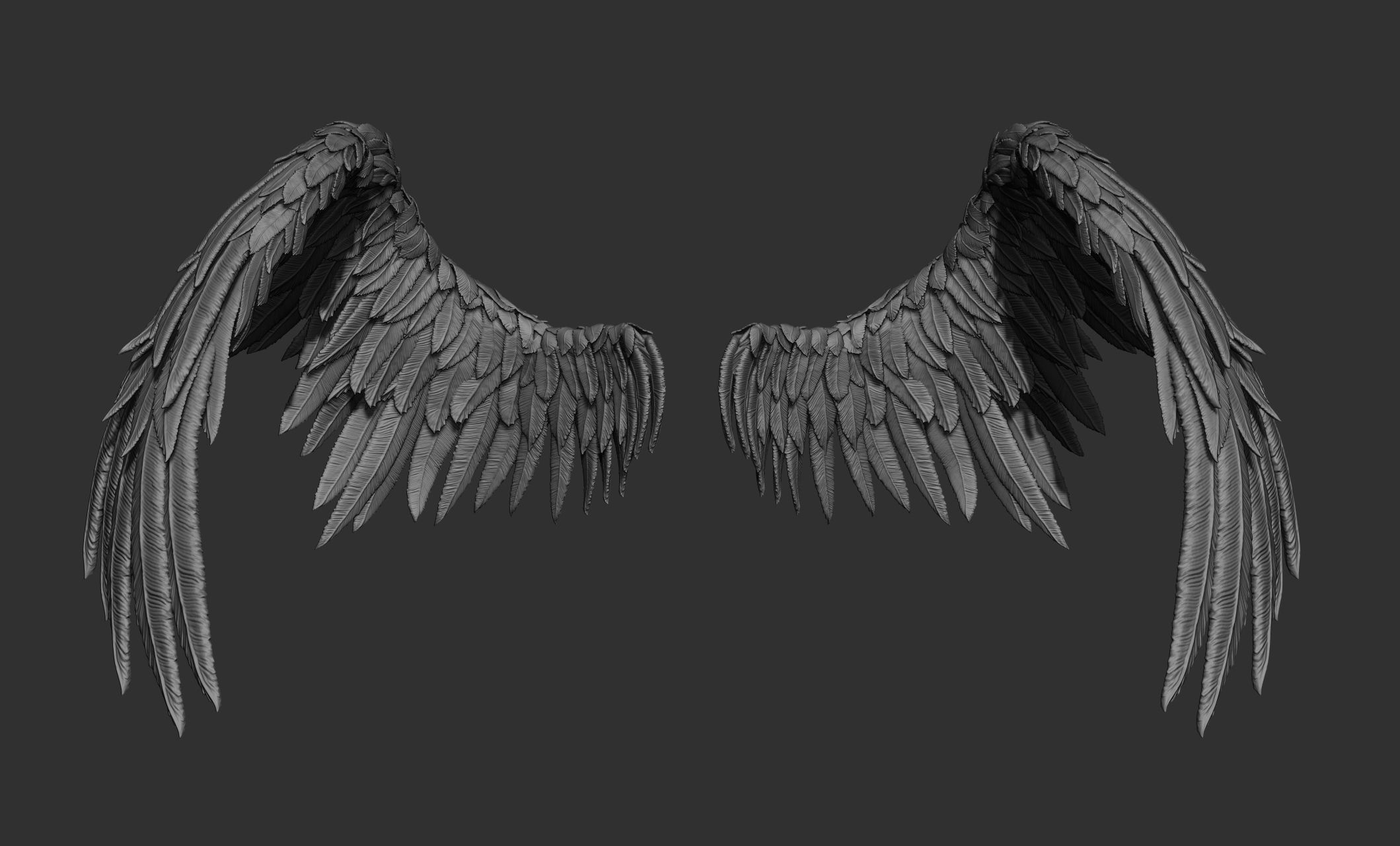 11 Wings 3D model_25