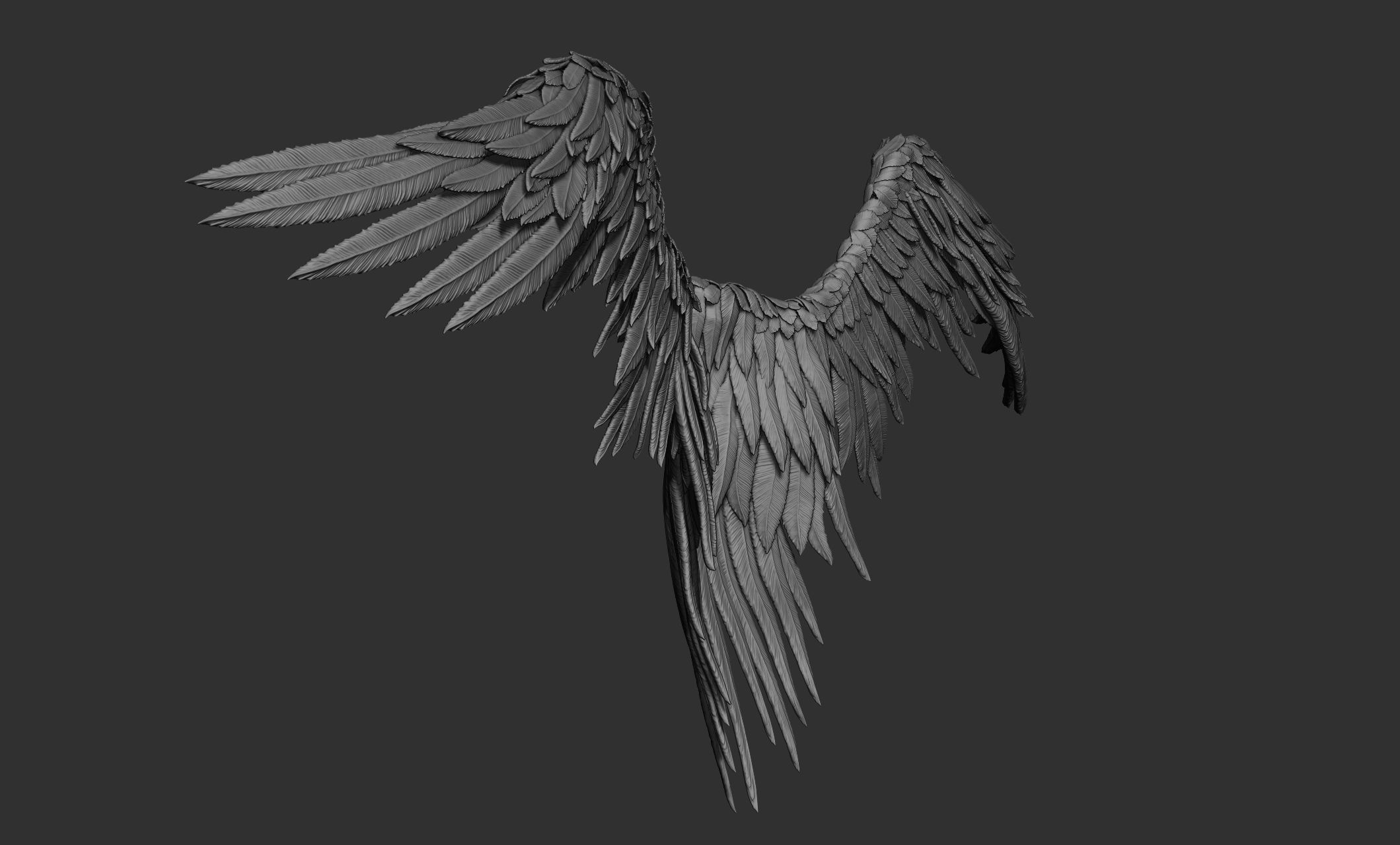11 Wings 3D model_13