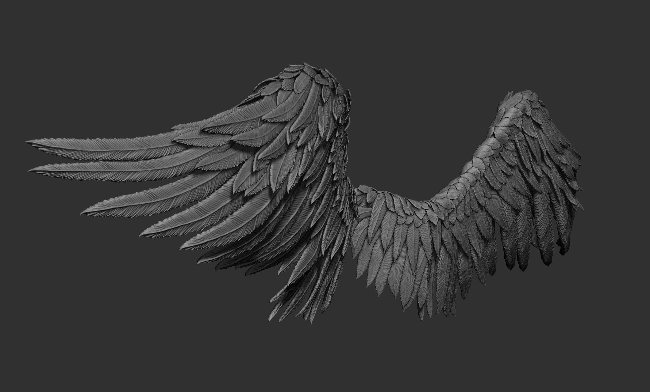 11 Wings 3D model_7