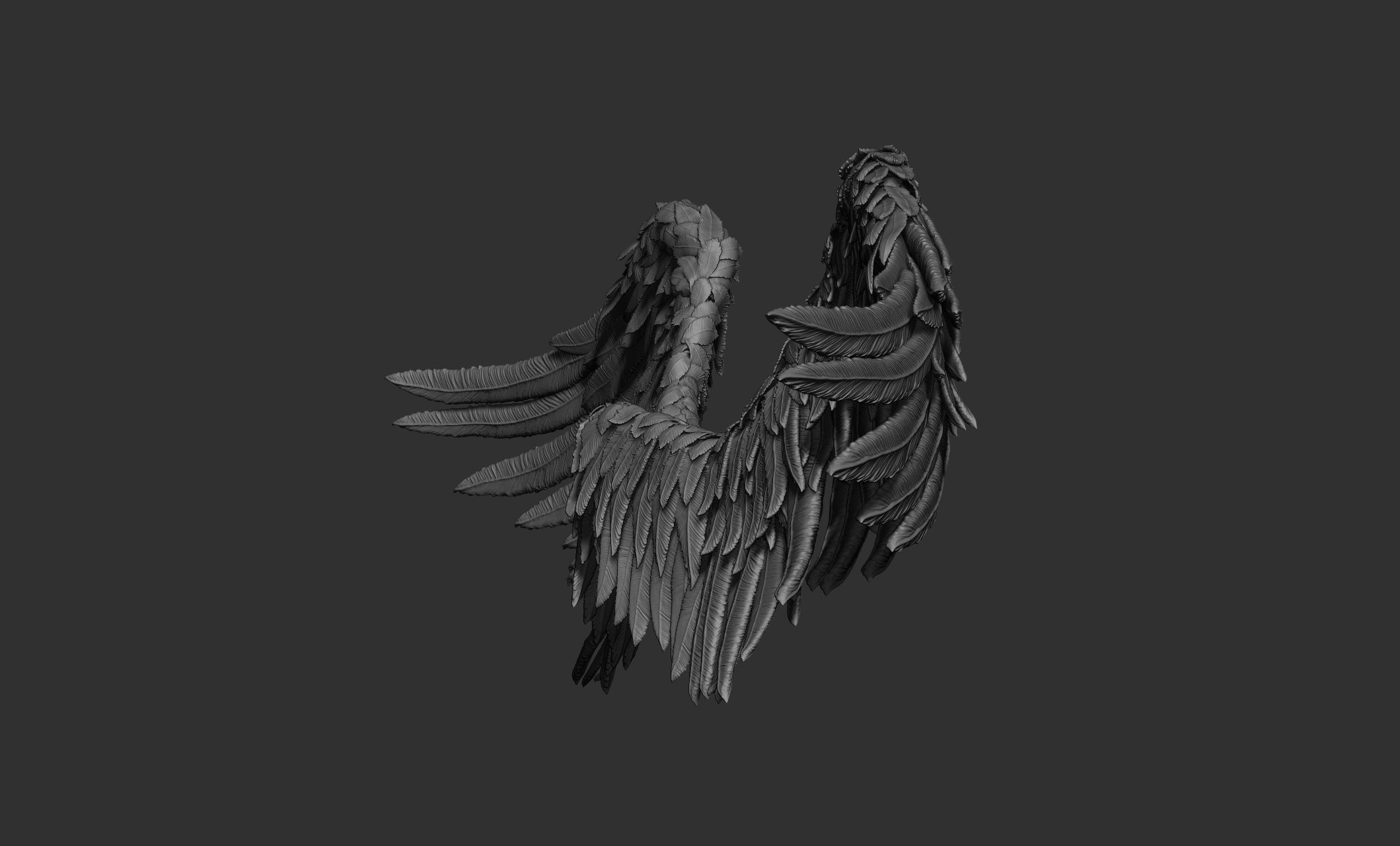 11 Wings 3D model_6