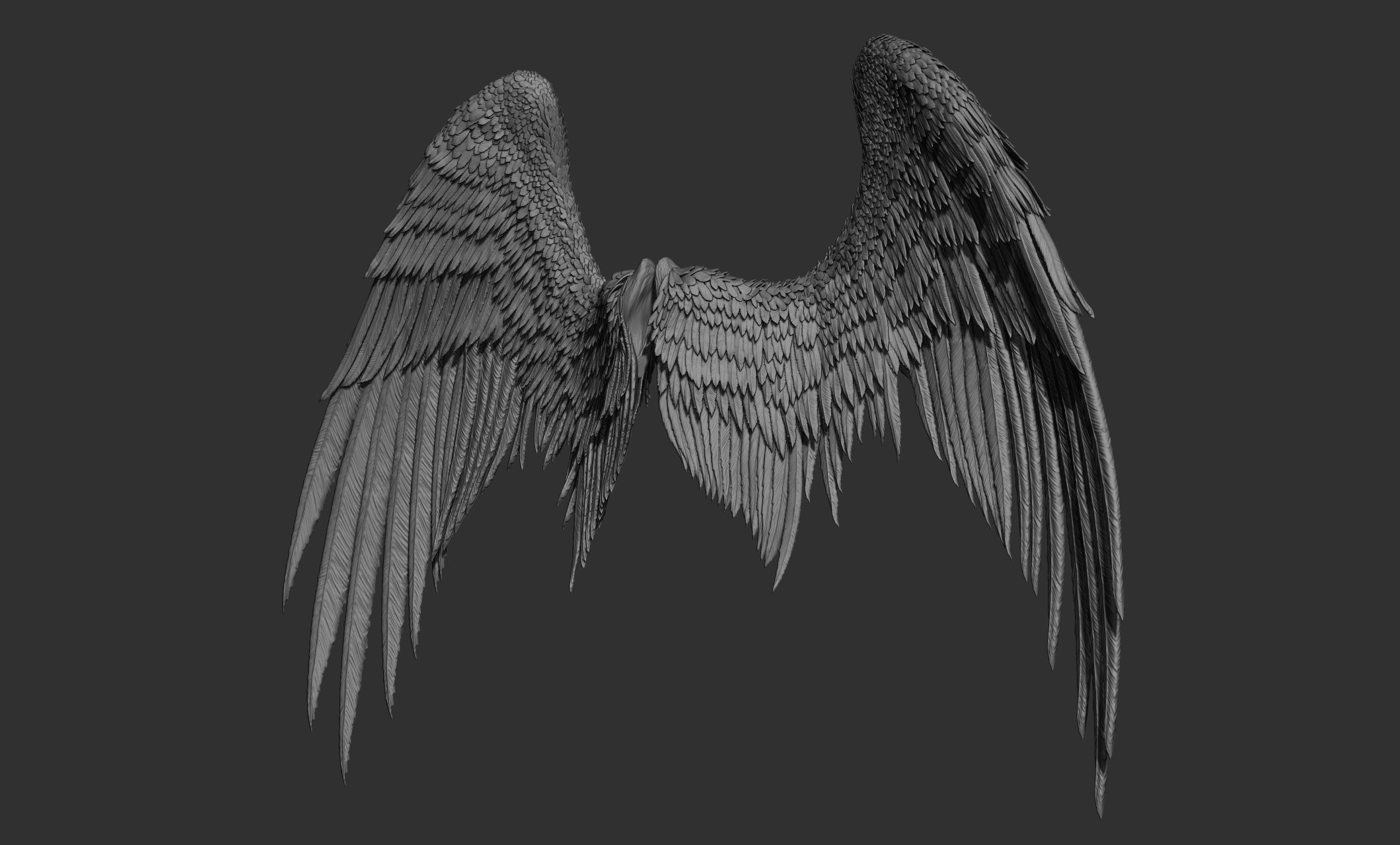 11 Wings 3D model_35