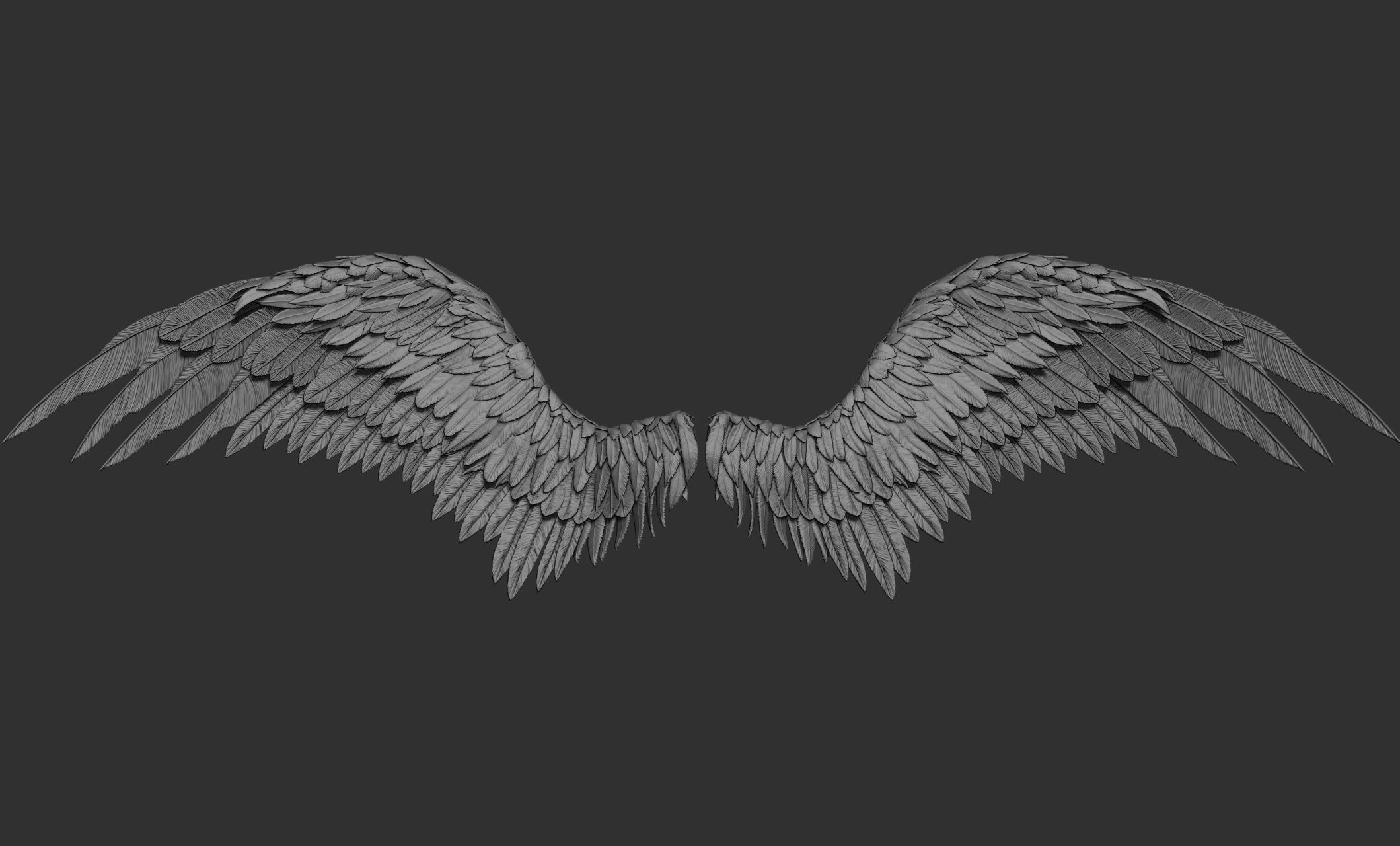 11 Wings 3D model_17