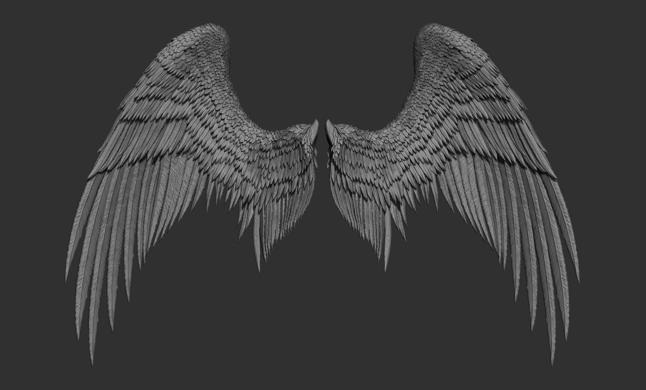 11 Wings 3D model_33