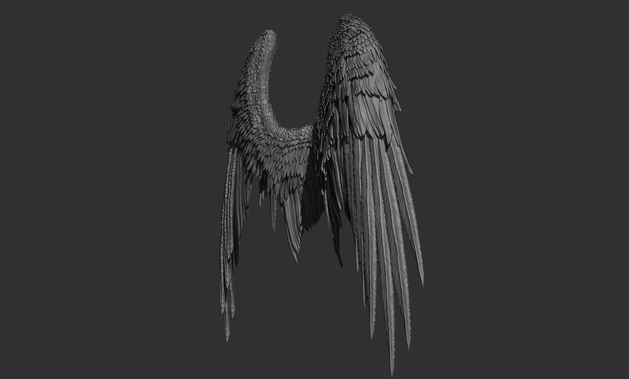 11 Wings 3D model_39