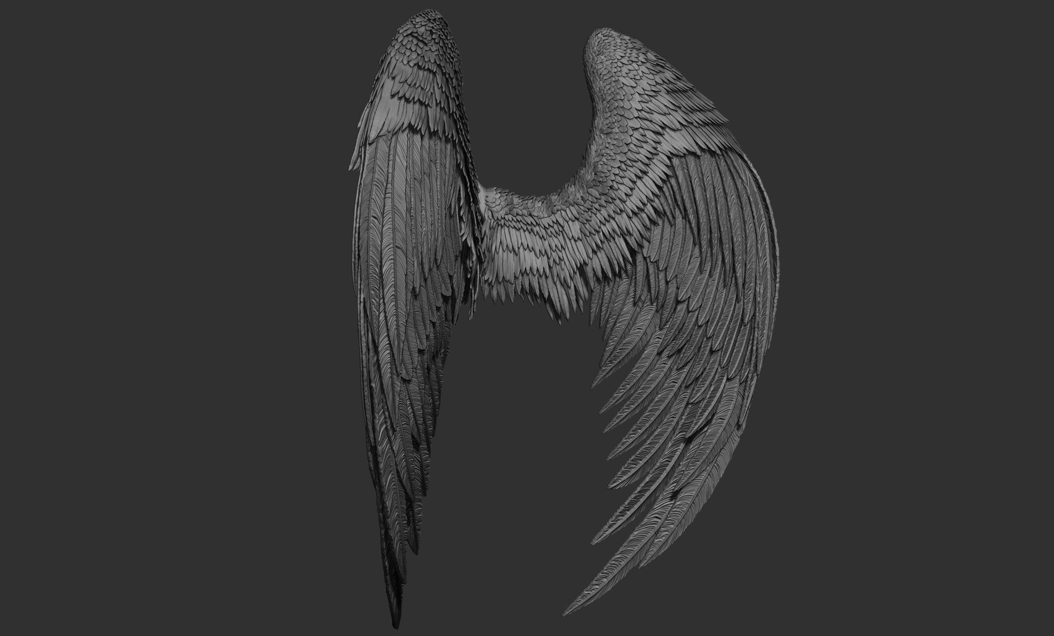 11 Wings 3D model_70