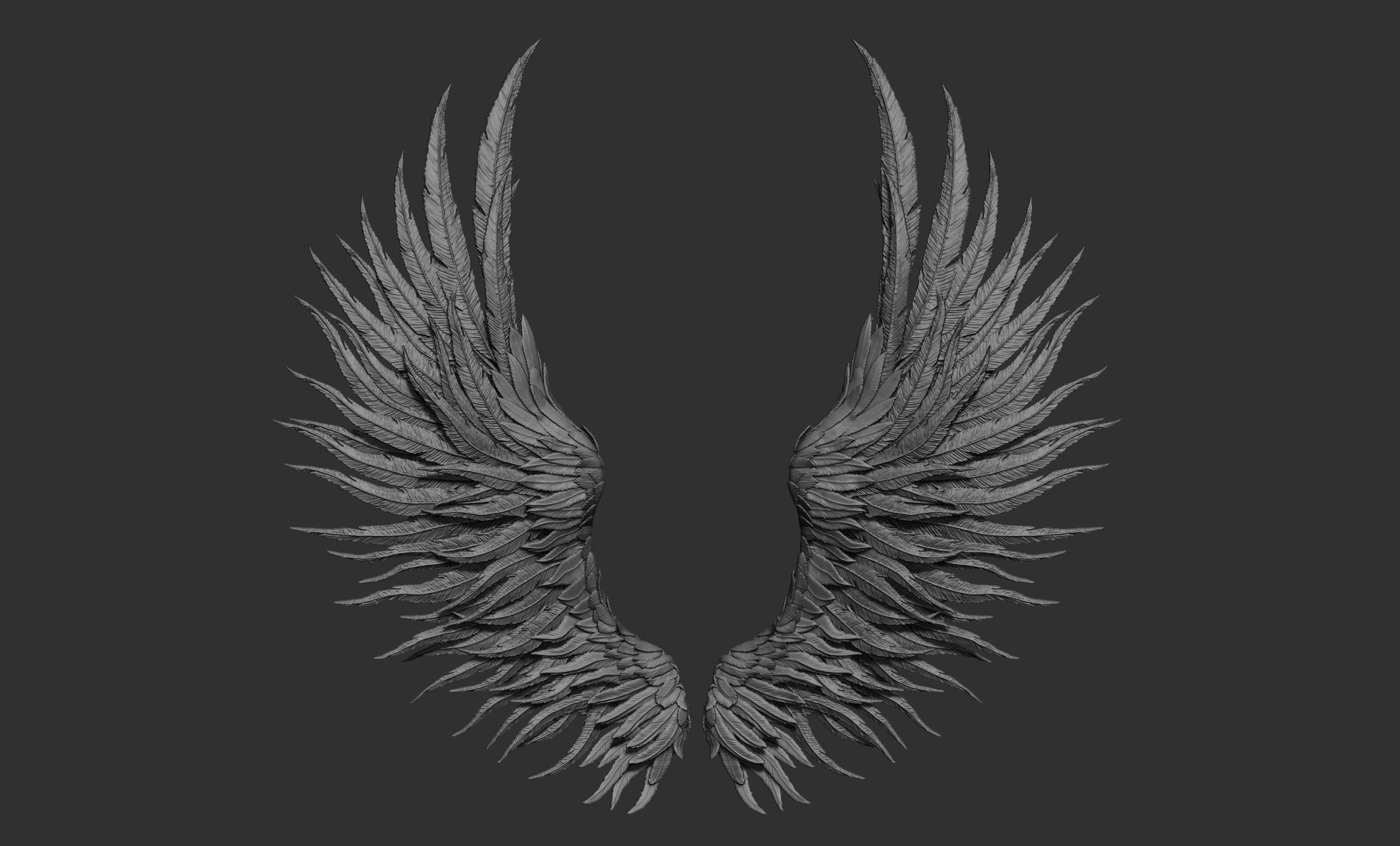 11 Wings 3D model_63