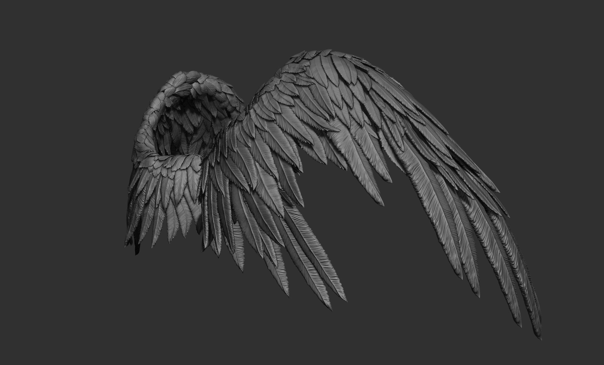 11 Wings 3D model_31