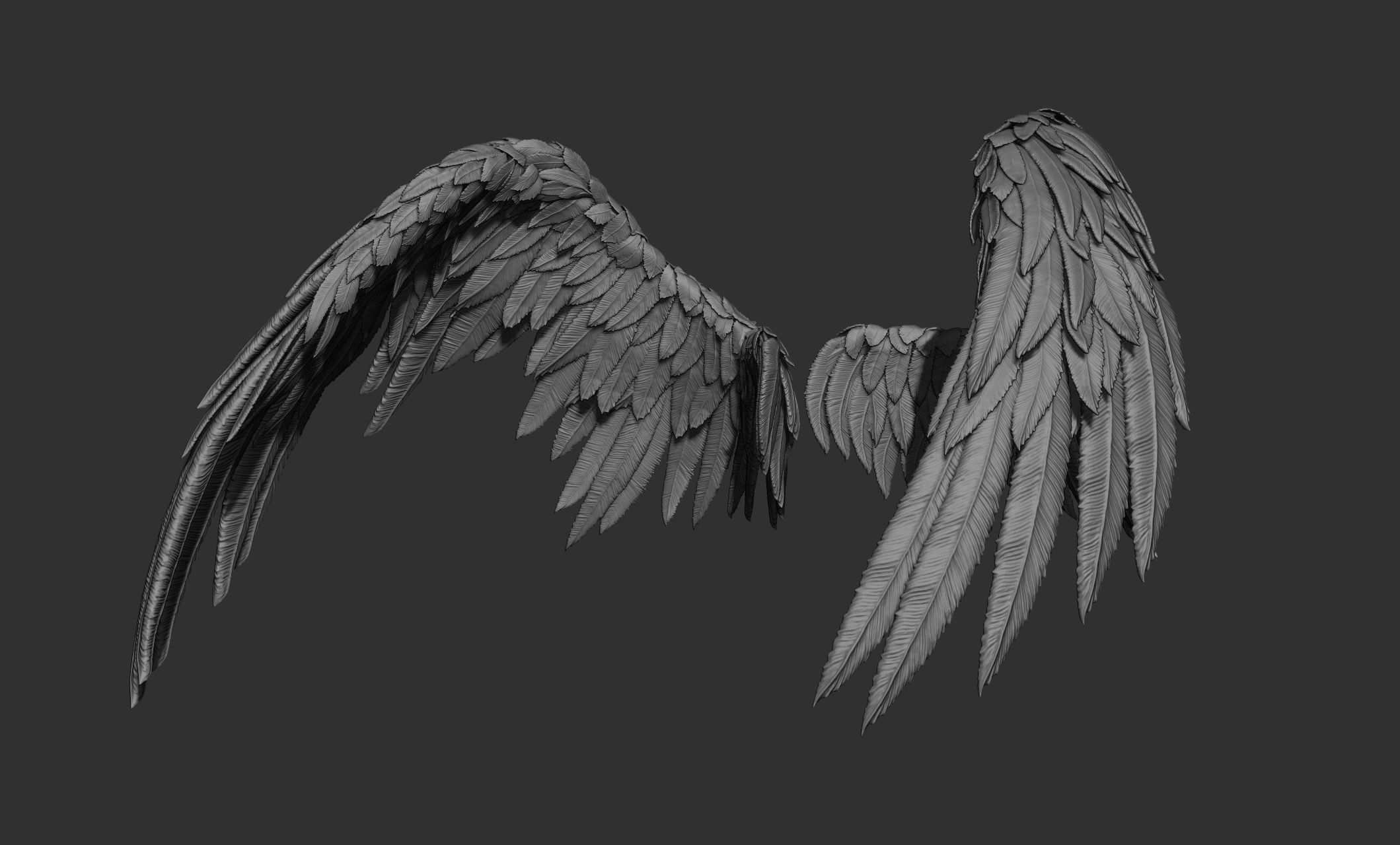 11 Wings 3D model_27