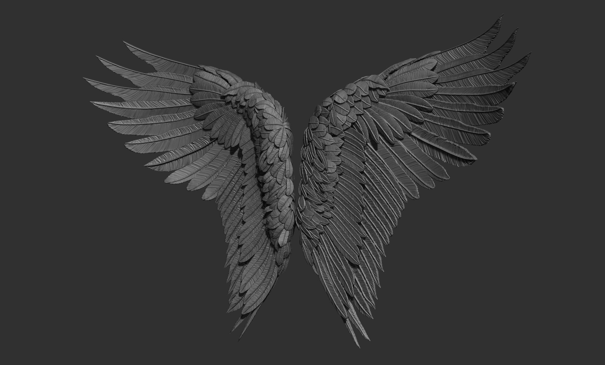11 Wings 3D model_51