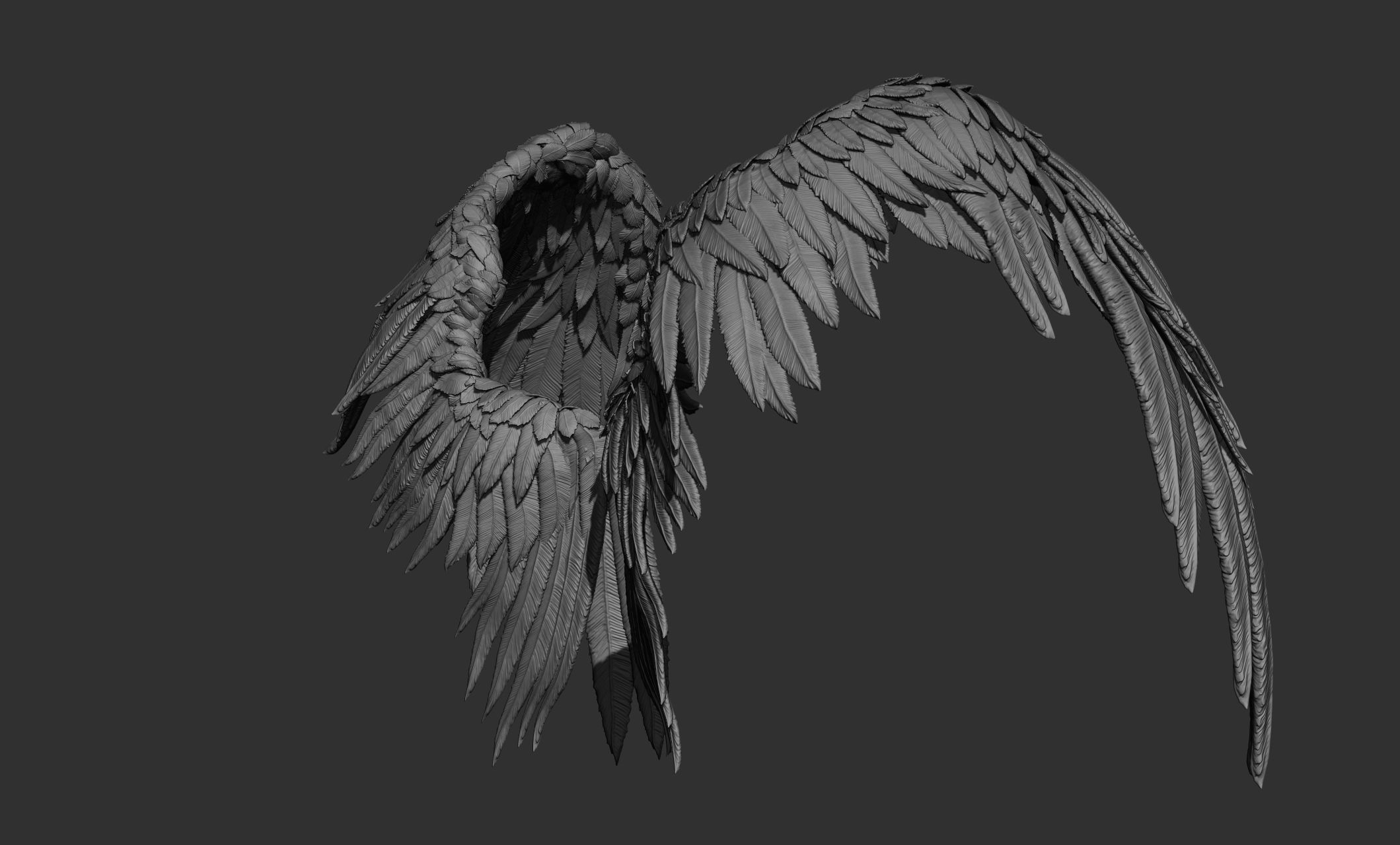 11 Wings 3D model_46