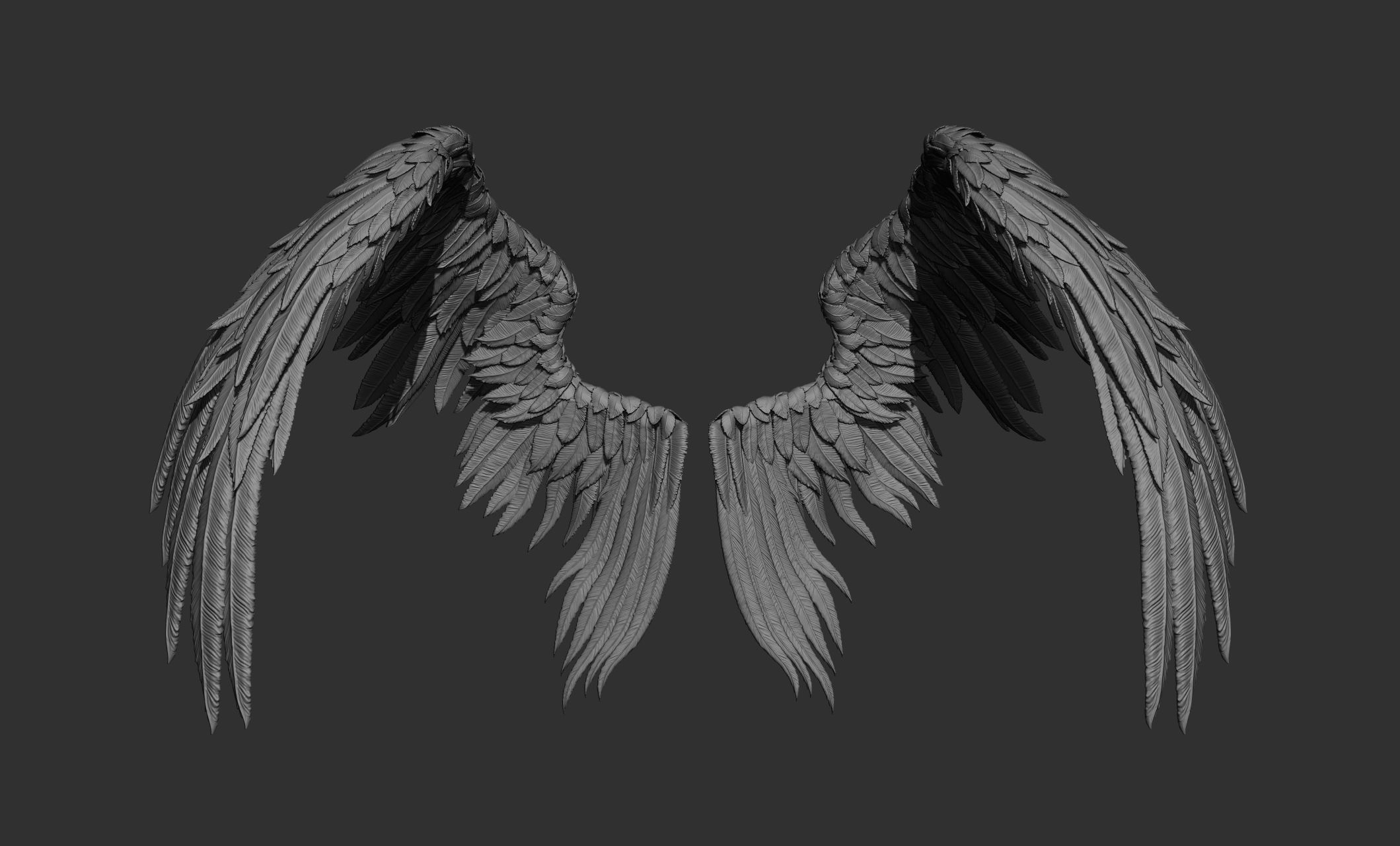 11 Wings 3D model_41