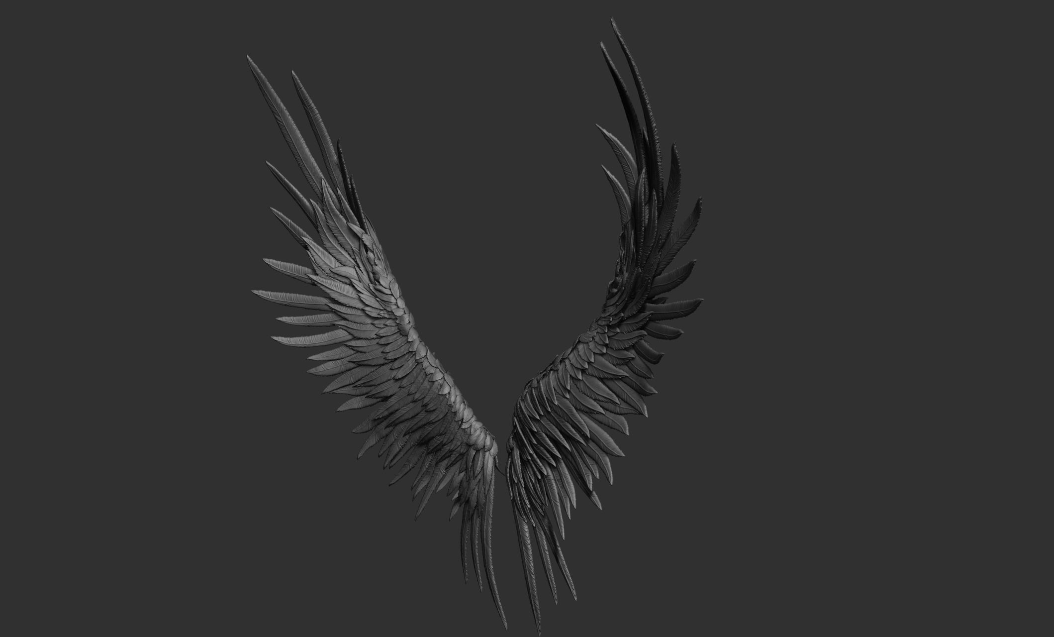 11 Wings 3D model_78
