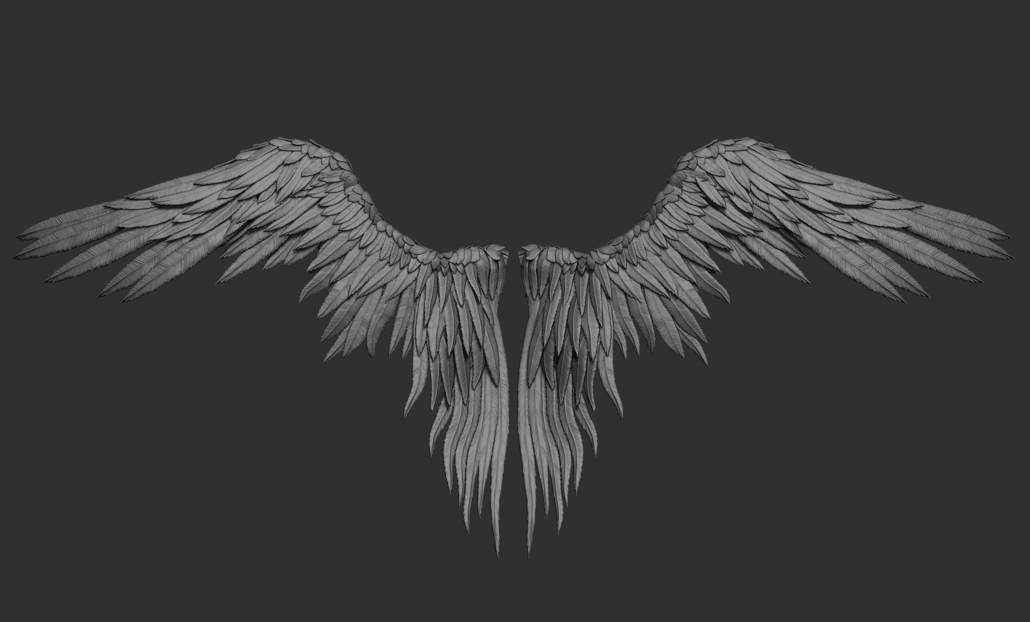 11 Wings 3D model_14