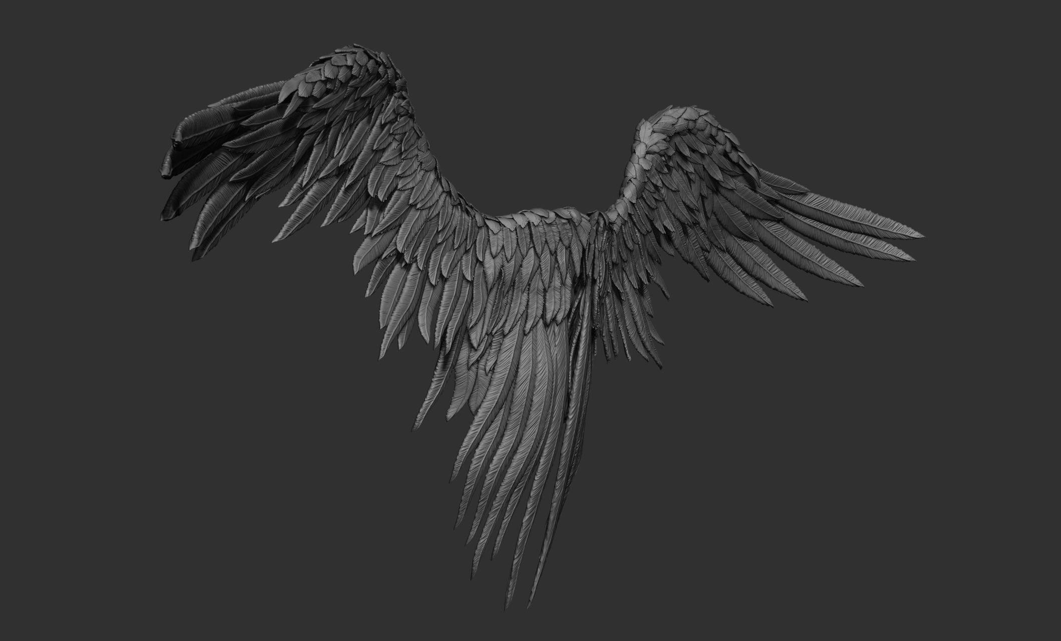 11 Wings 3D model_16