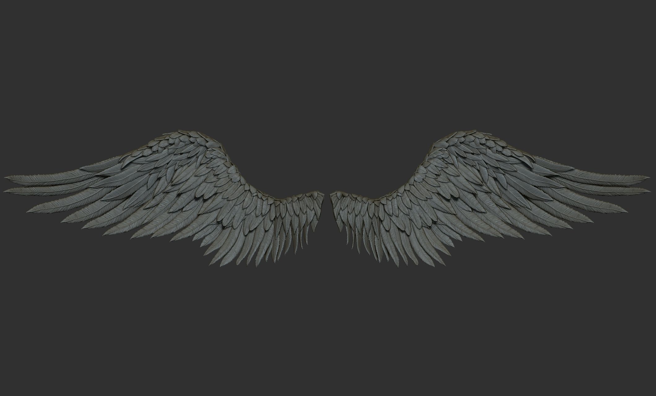 11 Wings 3D model_3