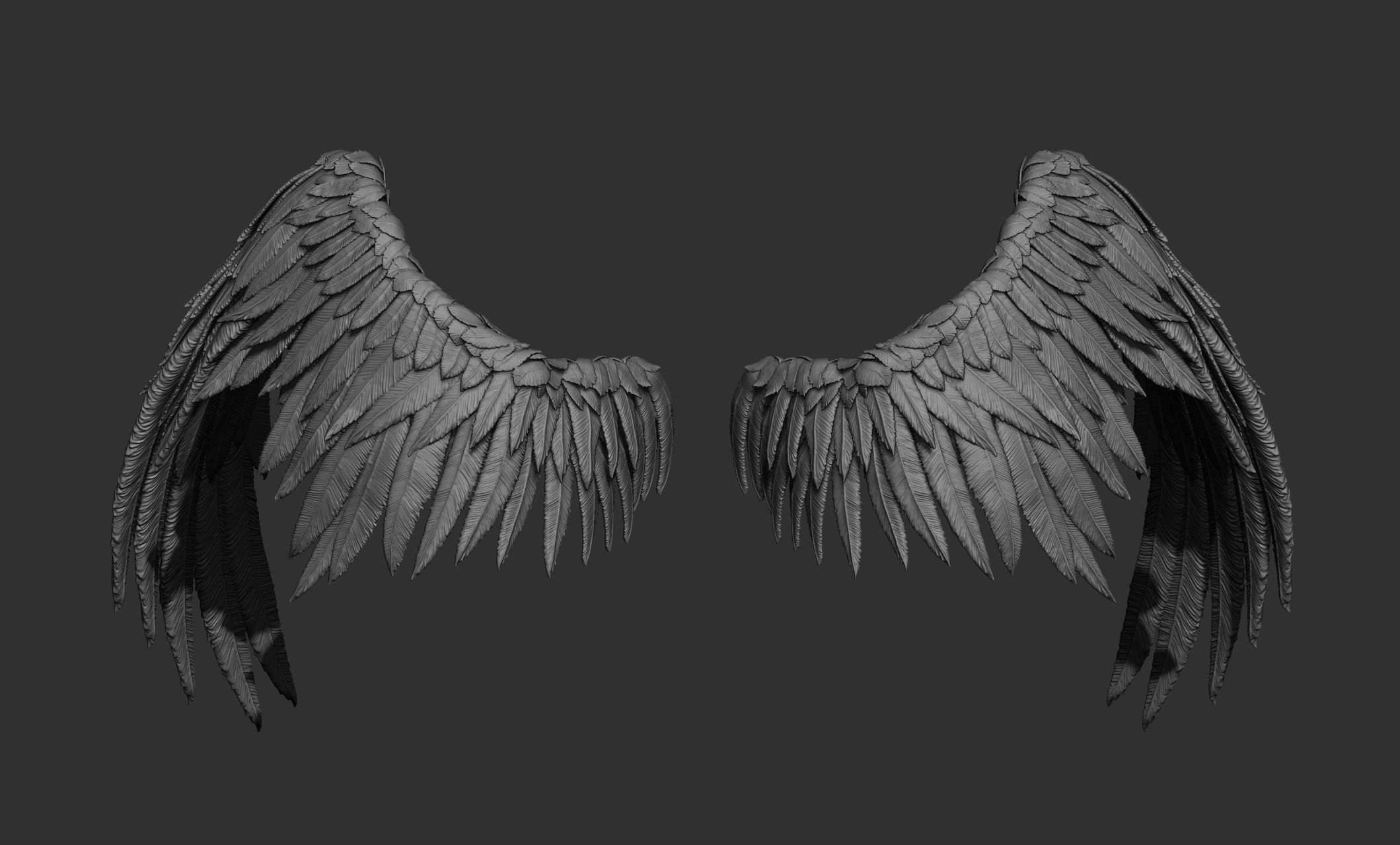 11 Wings 3D model_30