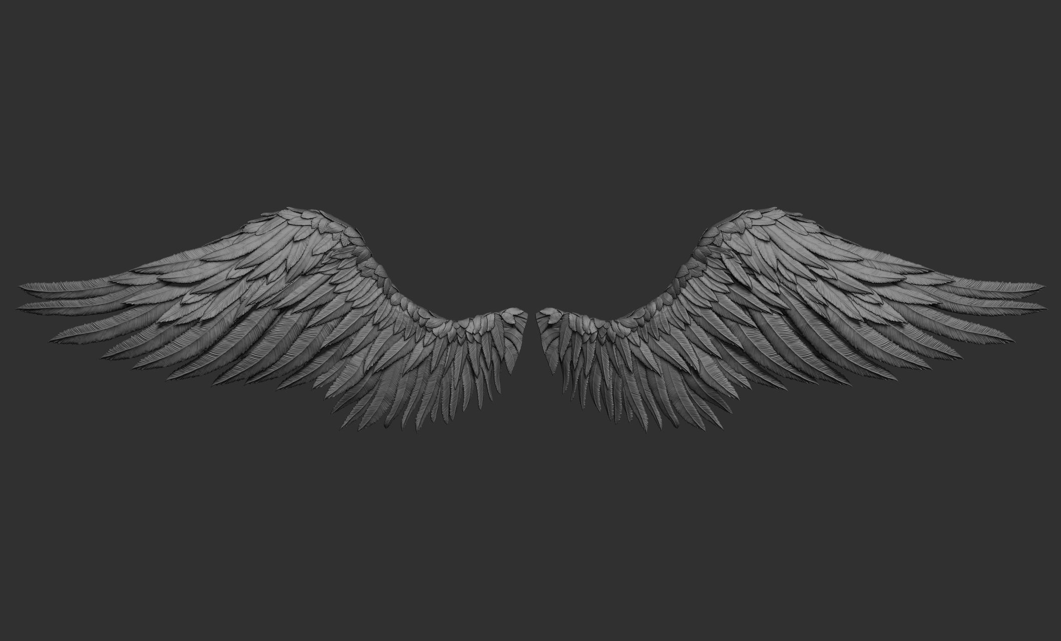 11 Wings 3D model_8