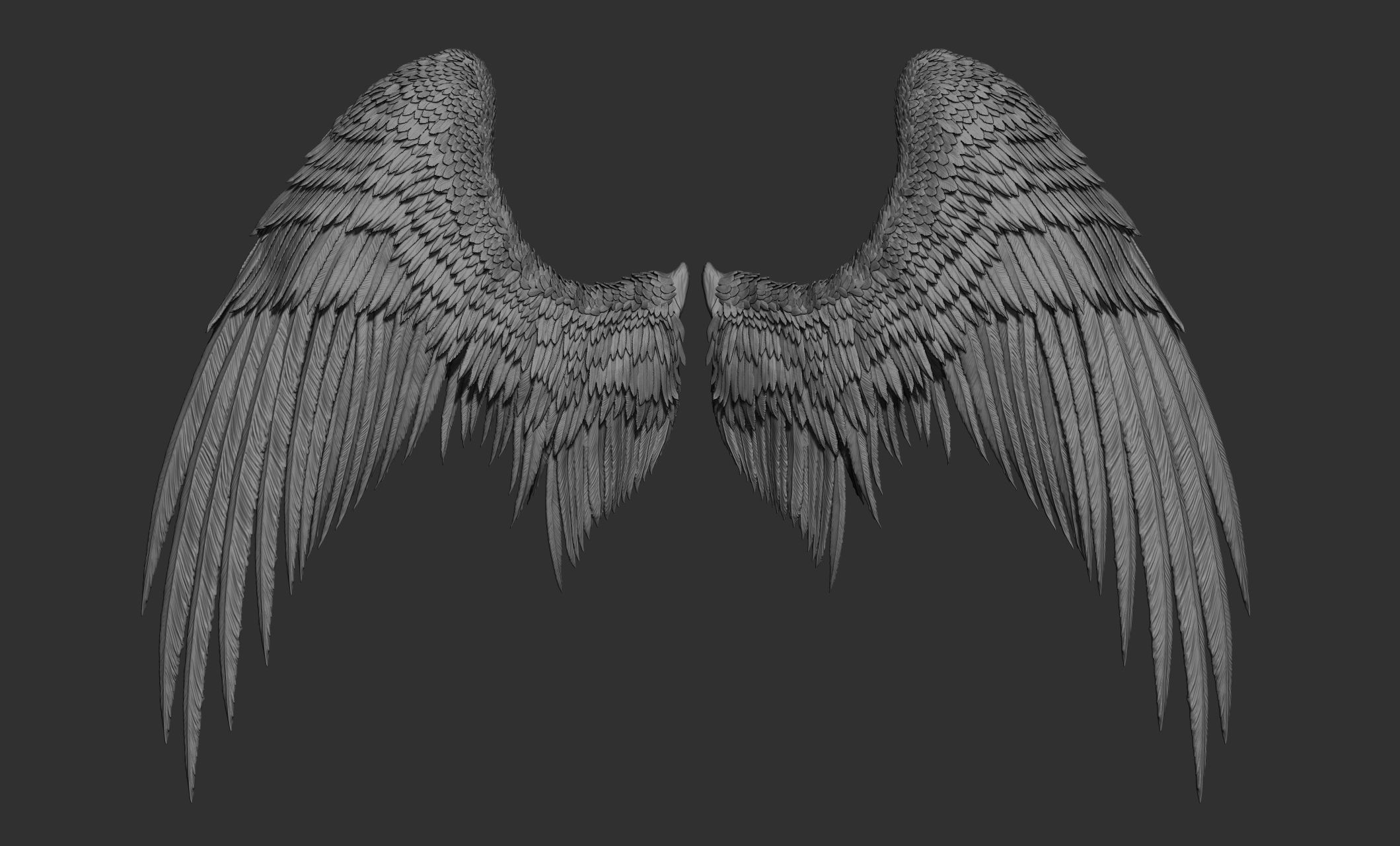11 Wings 3D model_38
