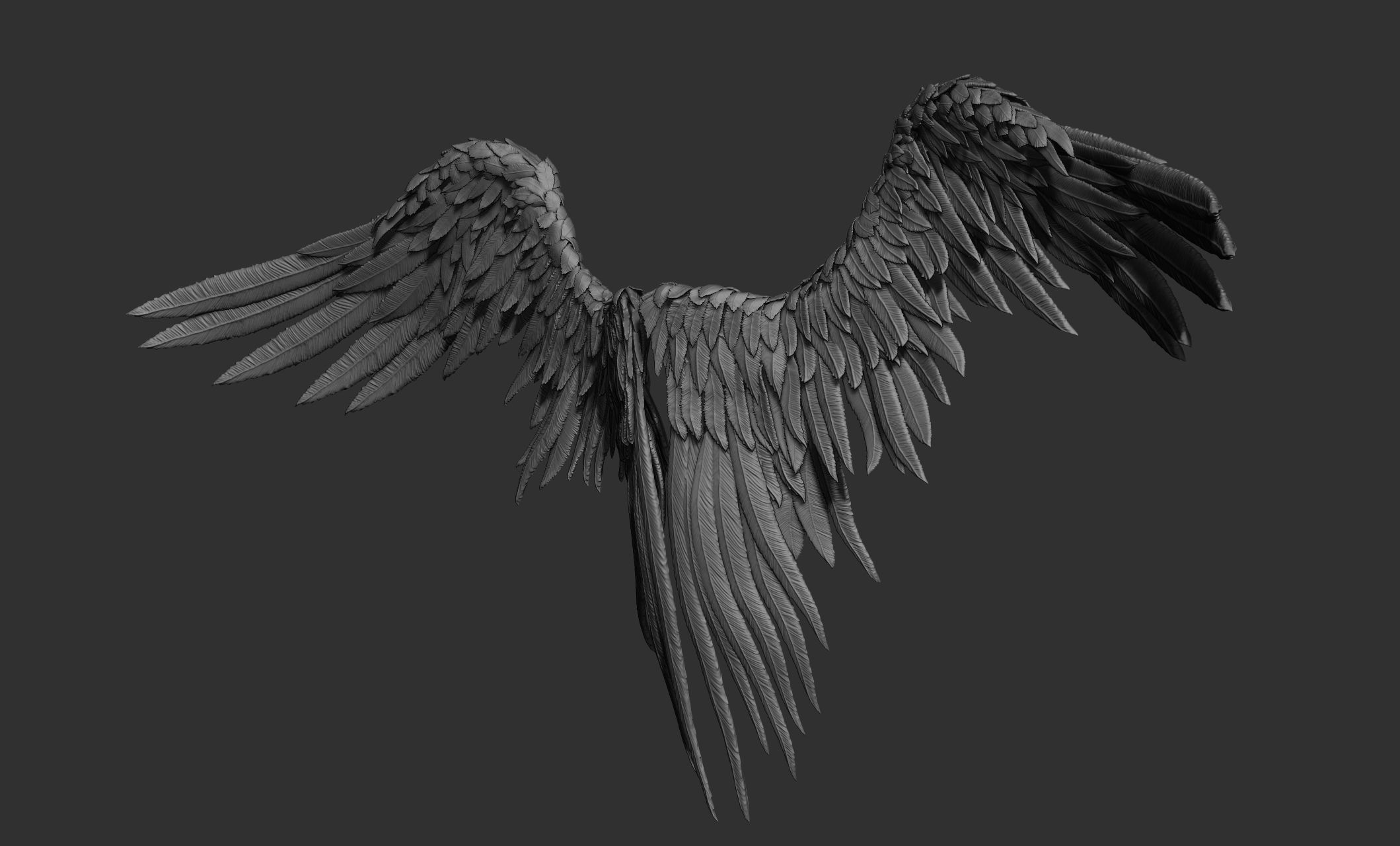 11 Wings 3D model_12