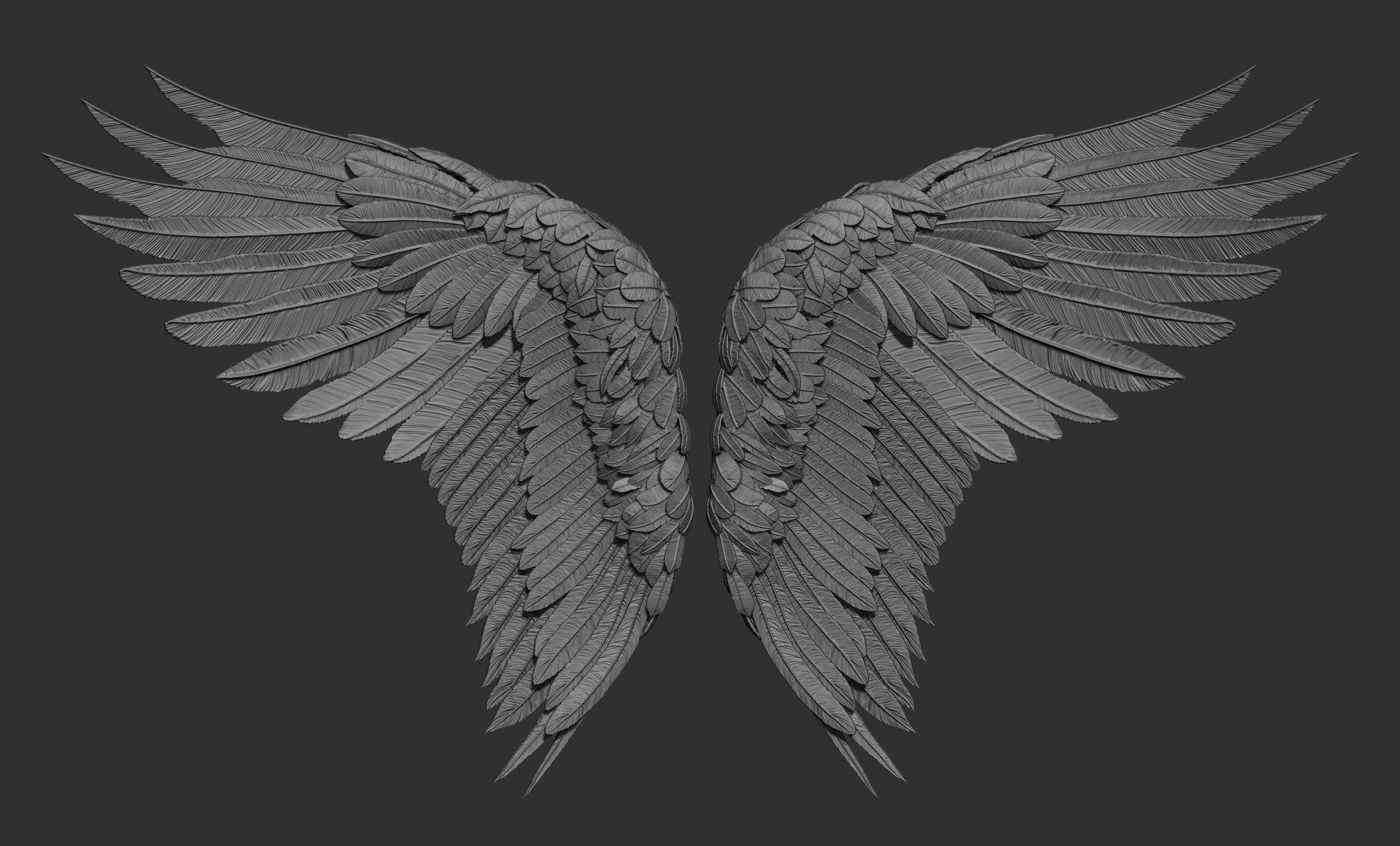 11 Wings 3D model_49