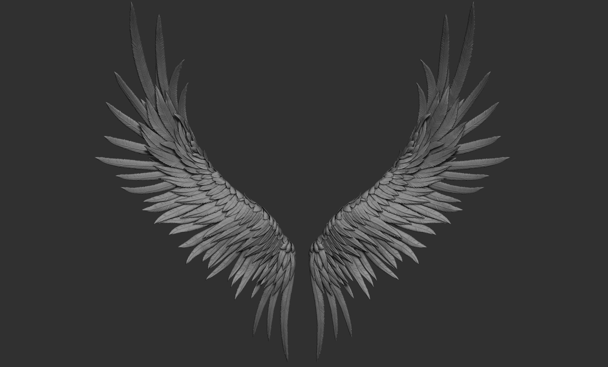 11 Wings 3D model_77