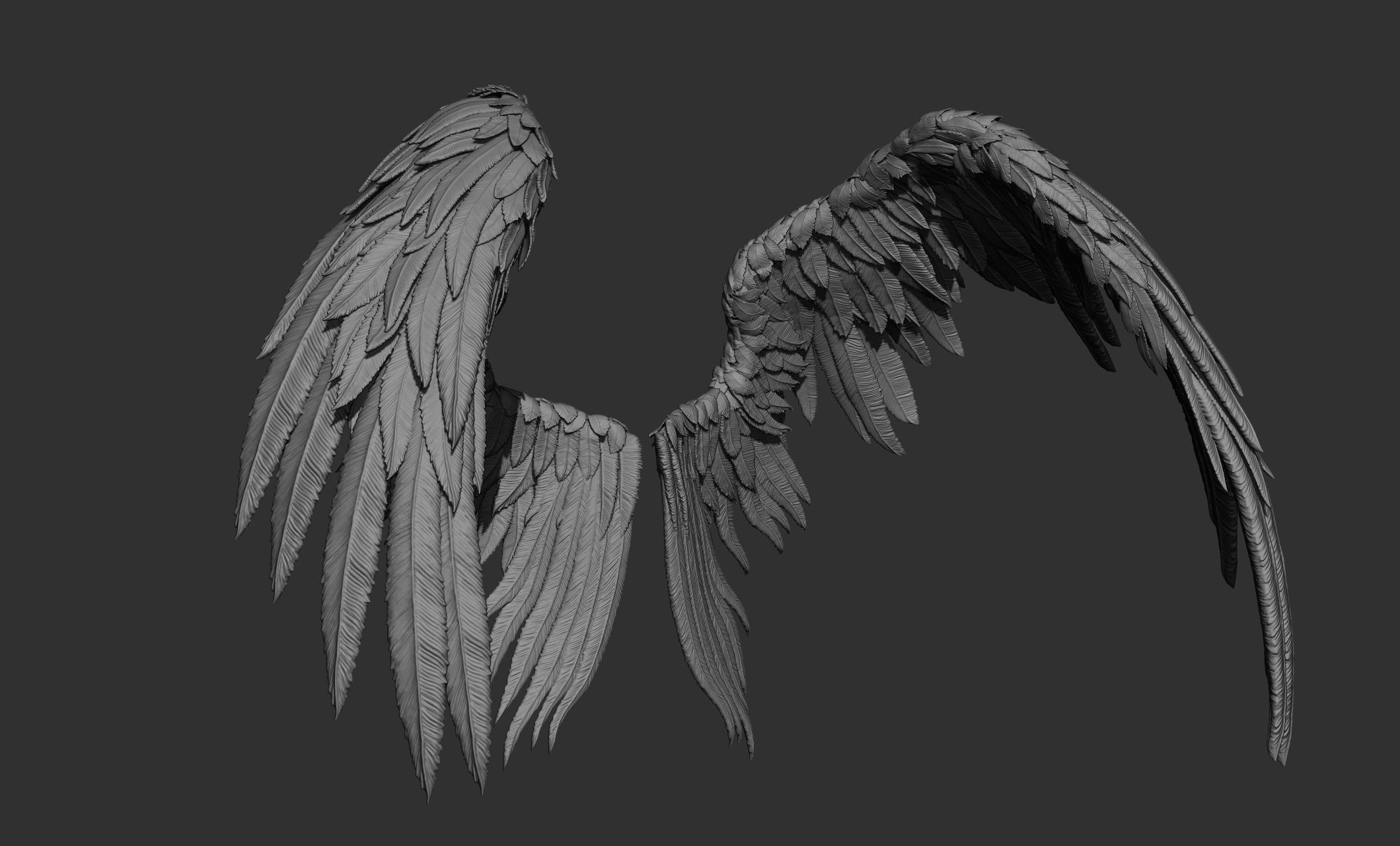 11 Wings 3D model_47