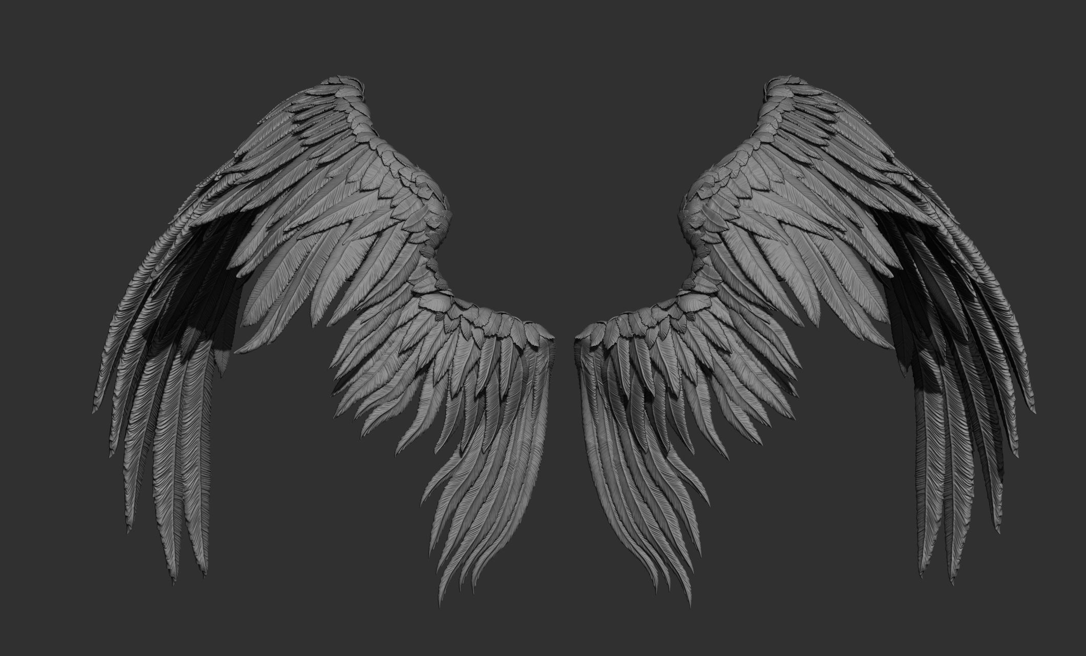 11 Wings 3D model_45