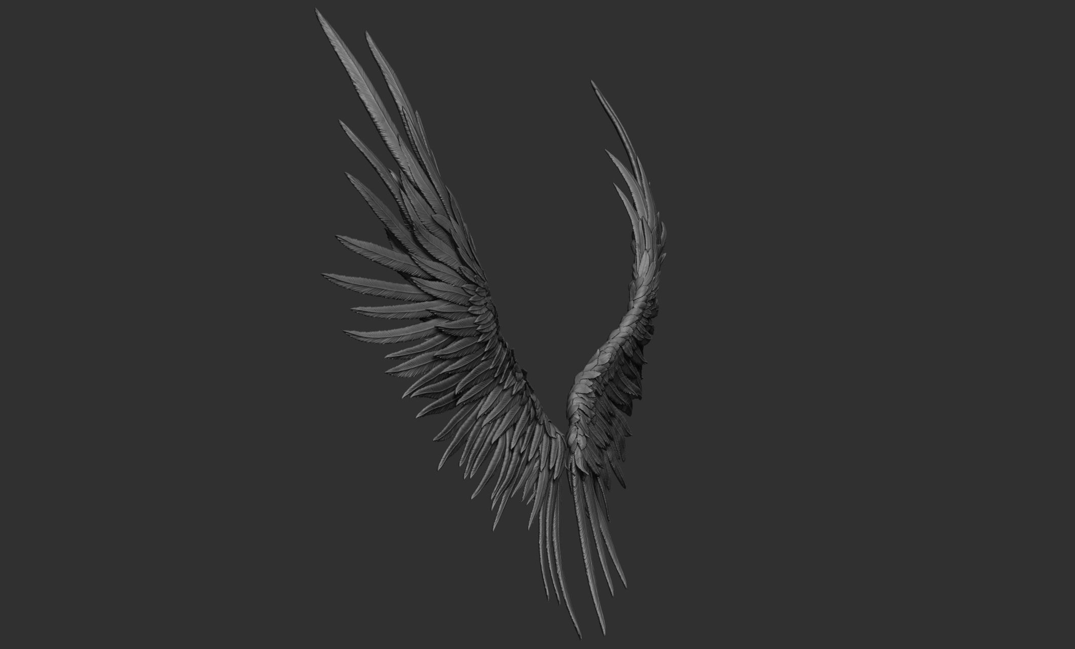 11 Wings 3D model_79