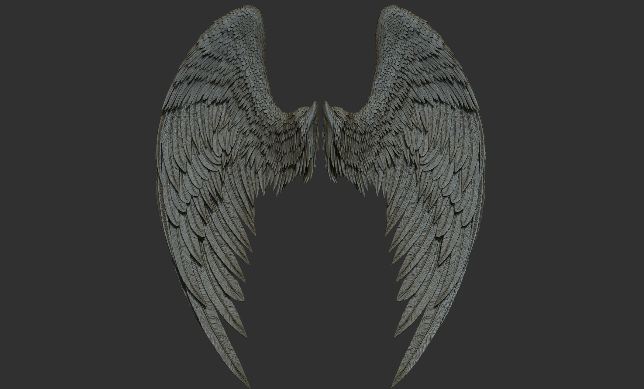 11 Wings 3D model_67