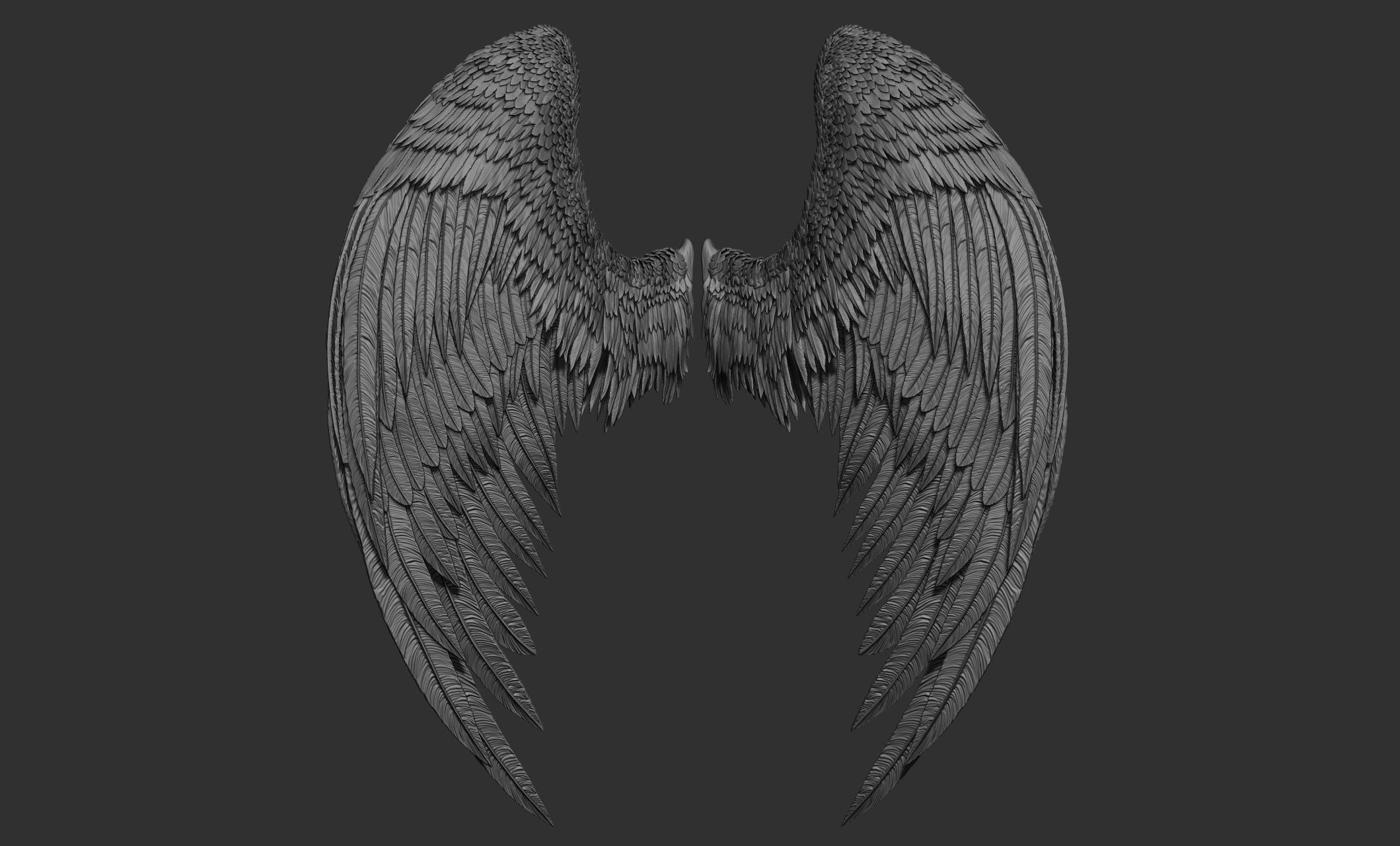 11 Wings 3D model_71