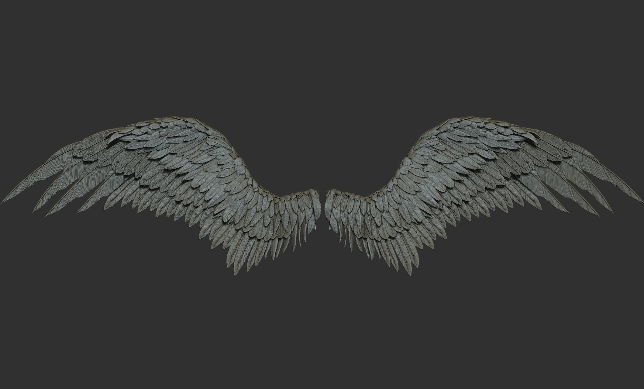 11 Wings 3D model_18