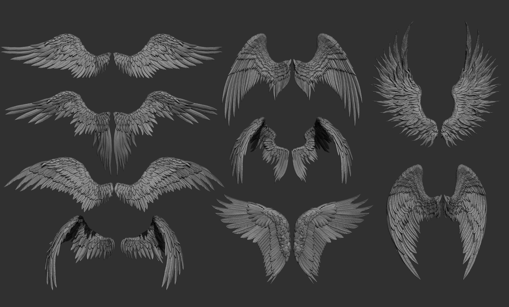 11 Wings 3D model_1