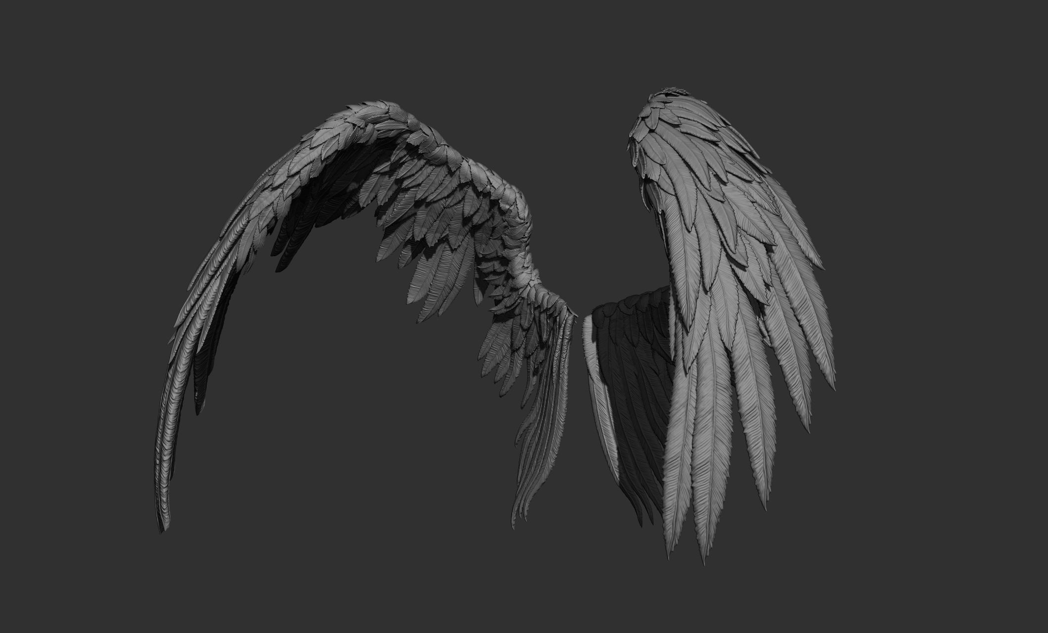 11 Wings 3D model_42