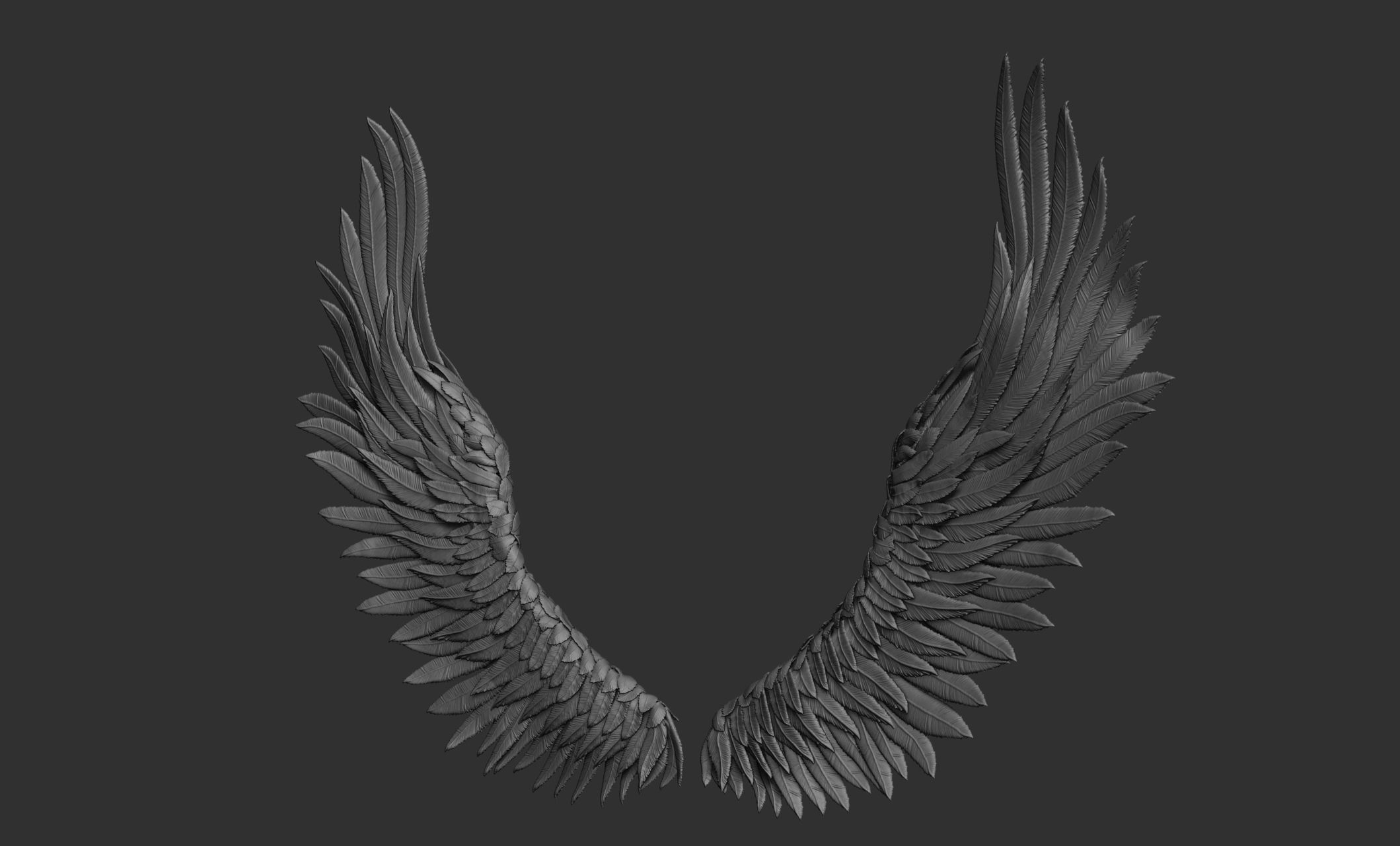 11 Wings 3D model_75