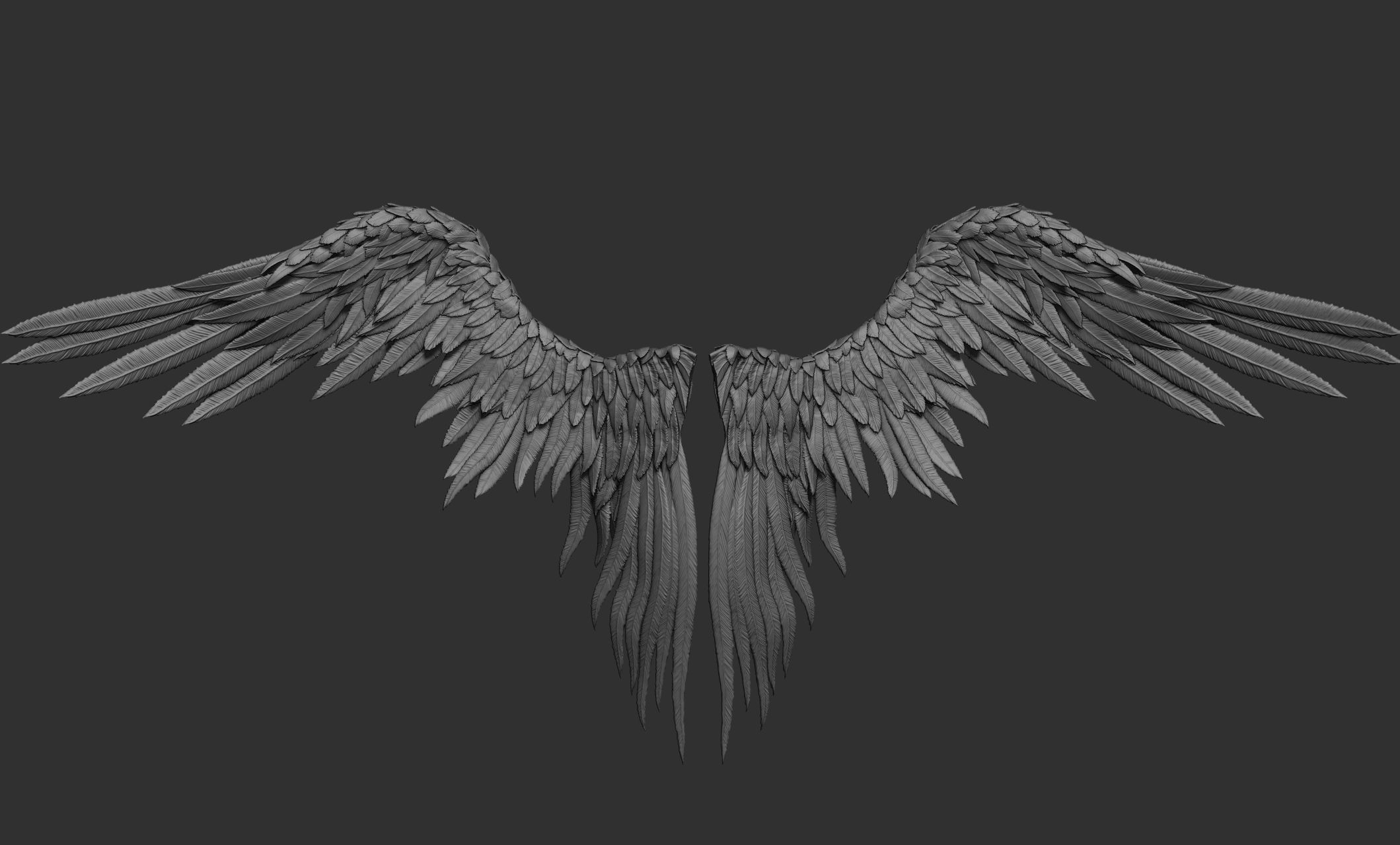 11 Wings 3D model_10
