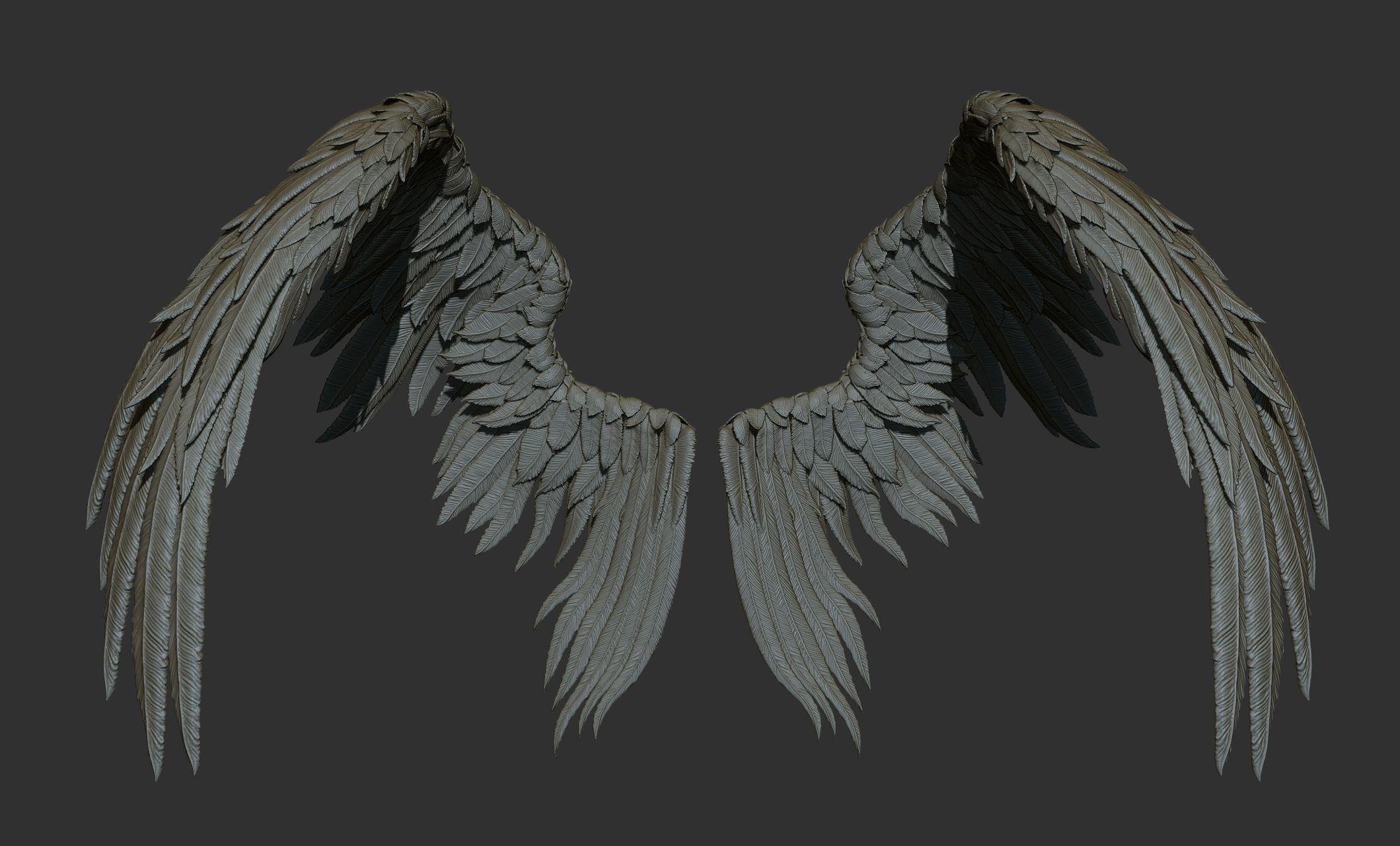 11 Wings 3D model_48