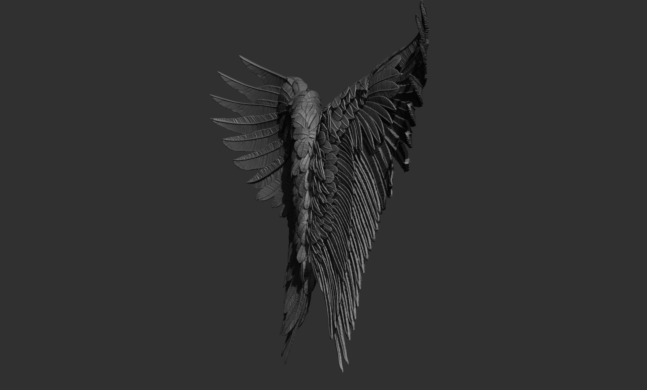 11 Wings 3D model_52