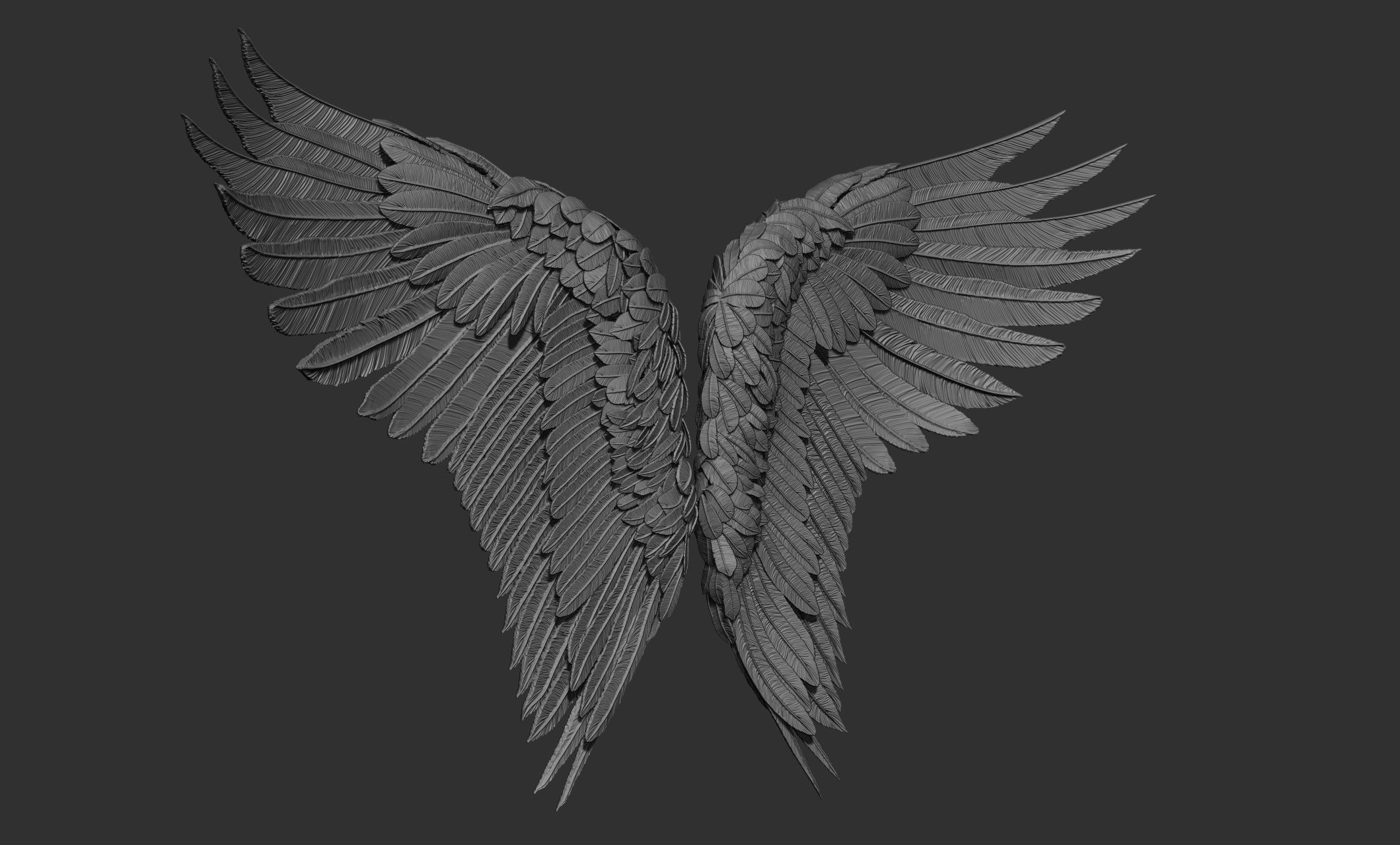 11 Wings 3D model_57